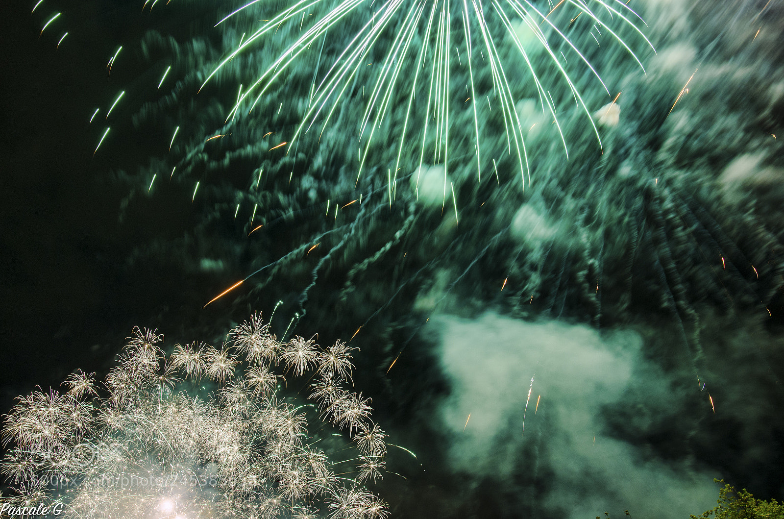 Nikon D5100 sample photo. Firework photography