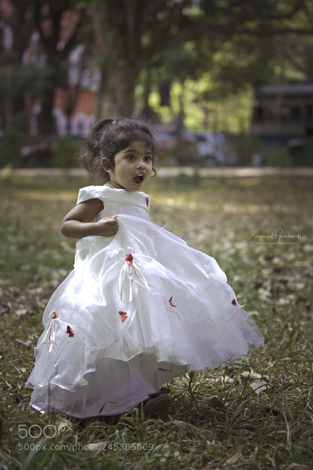 Nikon D850 sample photo. Surprise photography