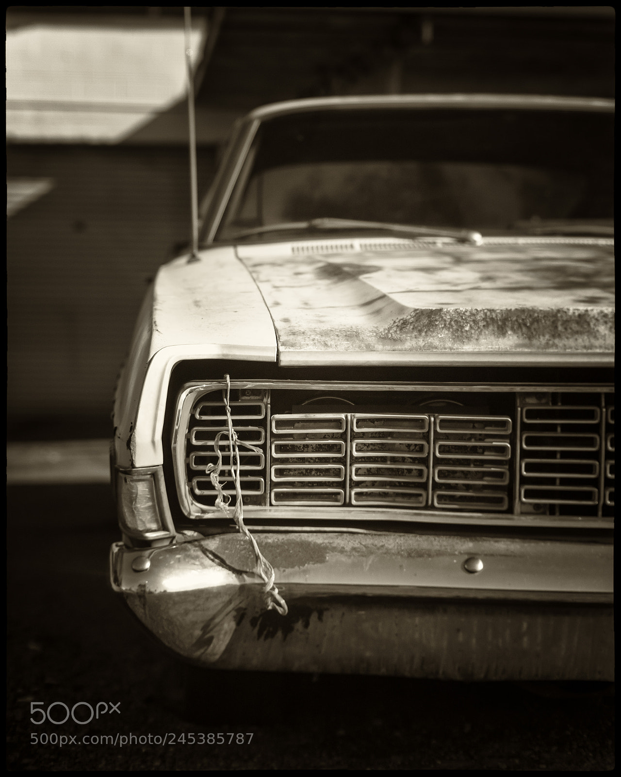 Leica M Monochrom (Typ 246) sample photo. With closed eyes photography