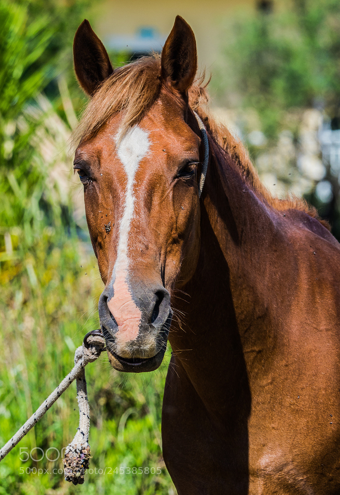 Olympus OM-D E-M1 Mark II sample photo. Olympus digital camera photography