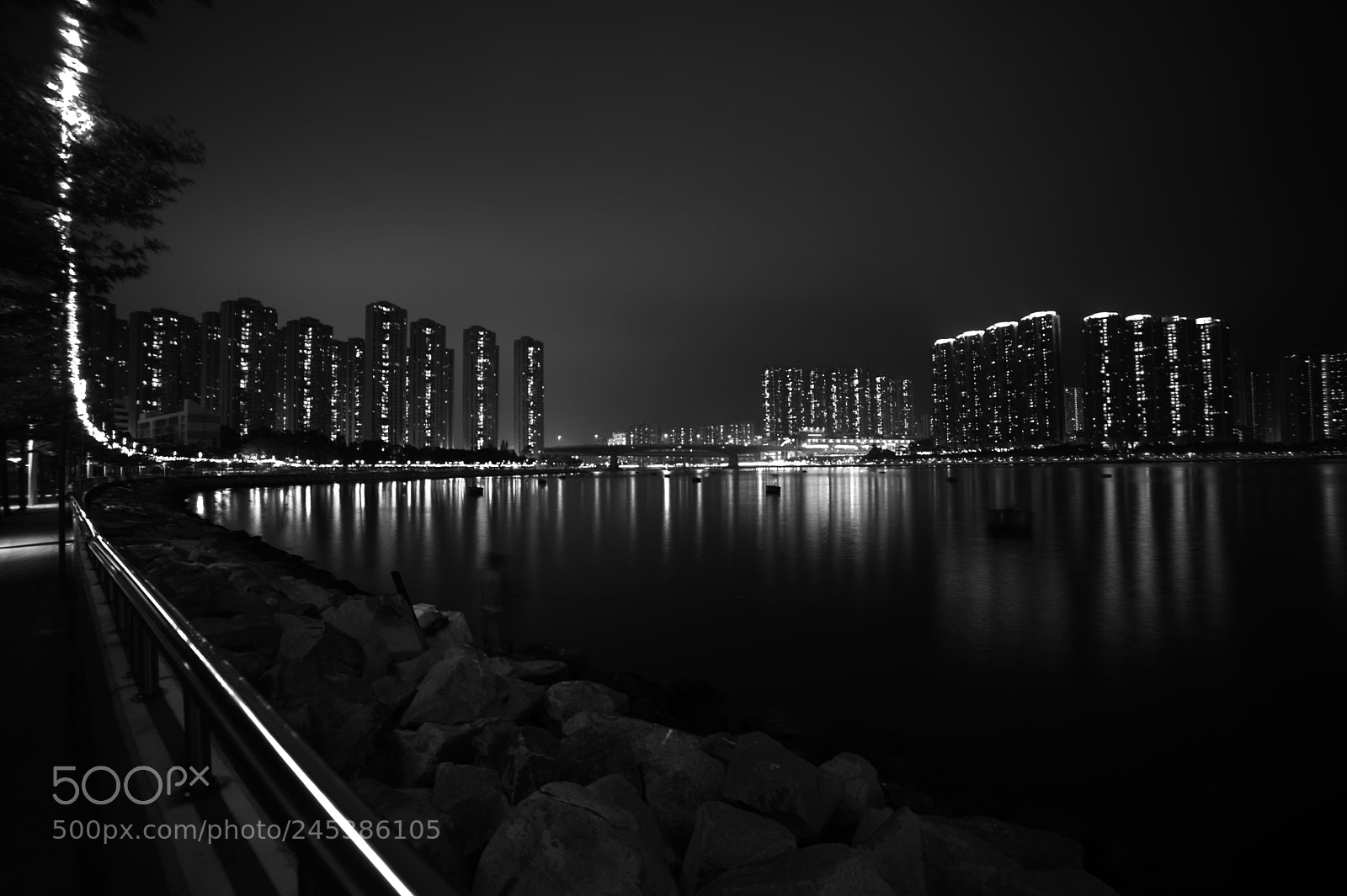 Nikon D700 sample photo. Black and white photography