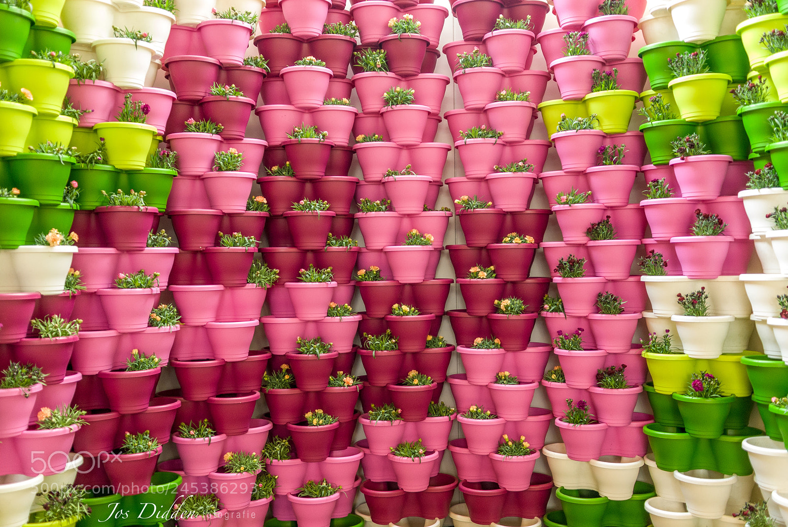 Nikon D200 sample photo. Colorful wall photography