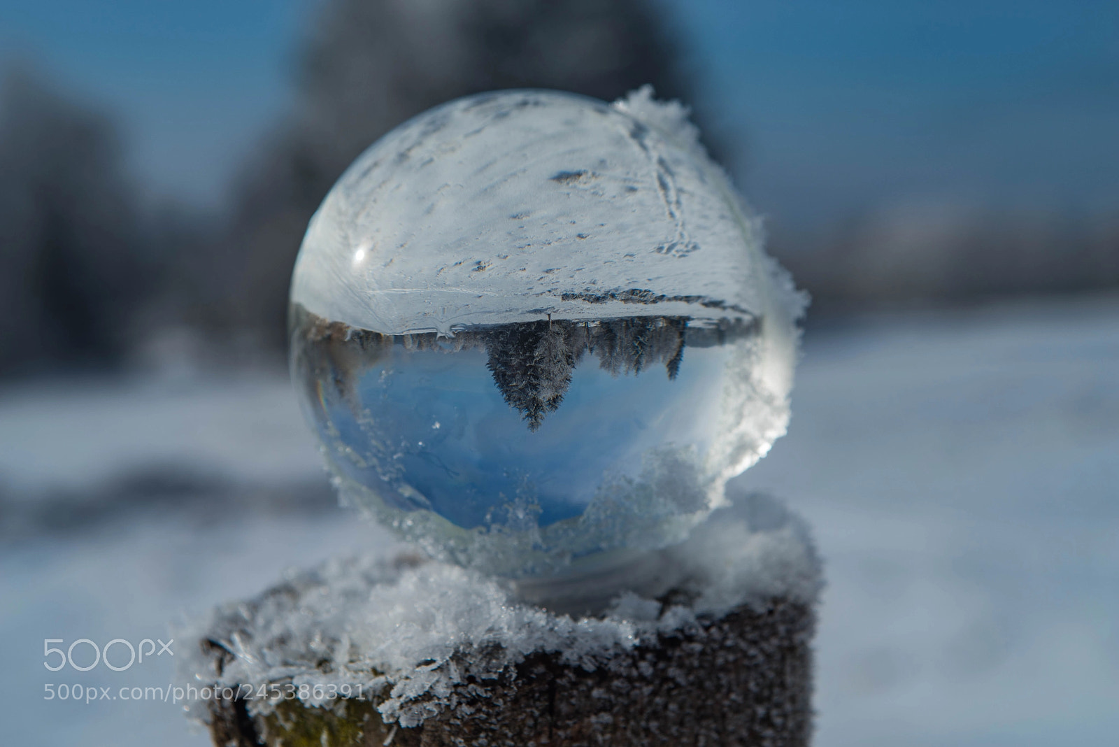 Pentax K-1 sample photo. Winter in the glass photography