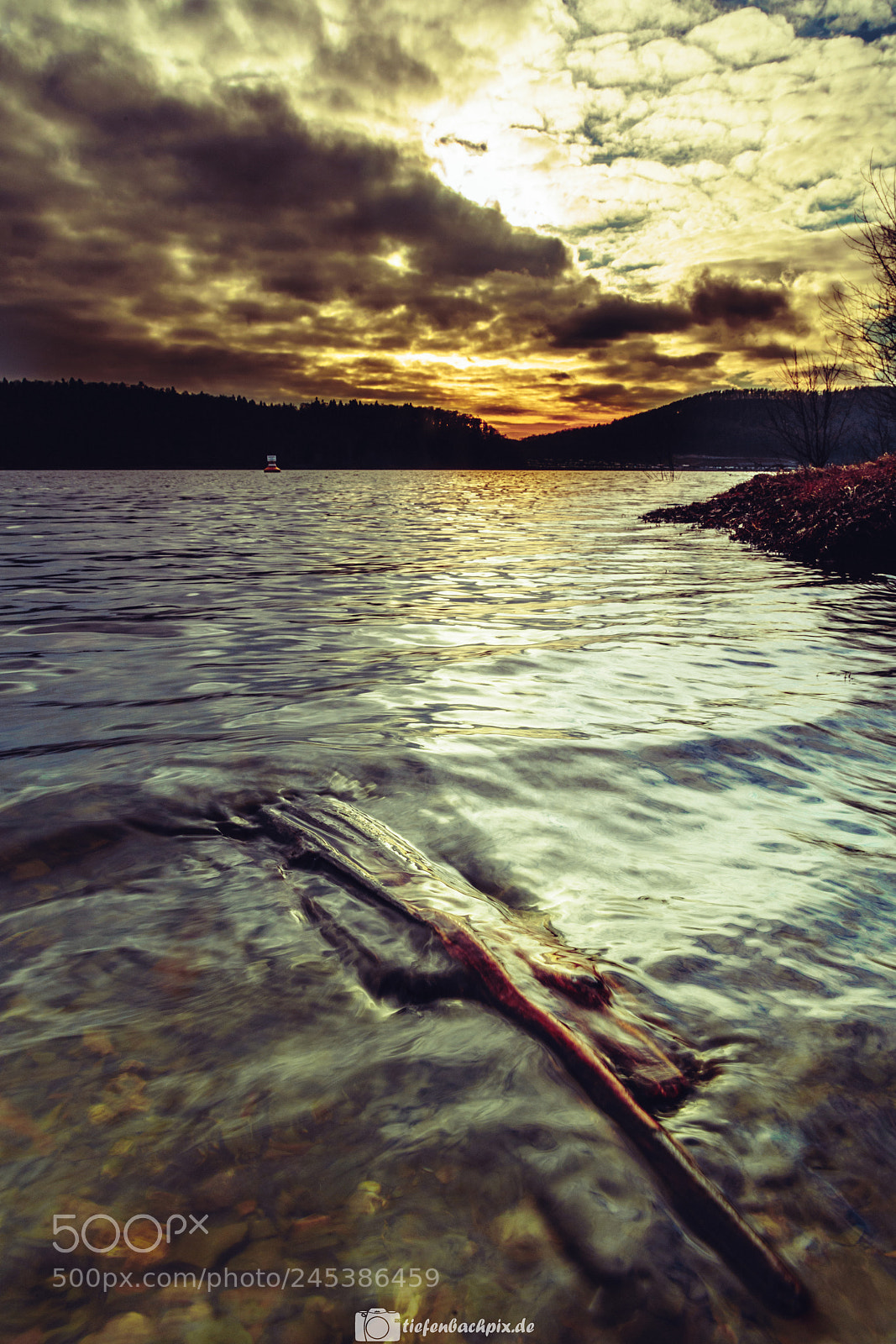 Sony a7R II sample photo. Edersea photography