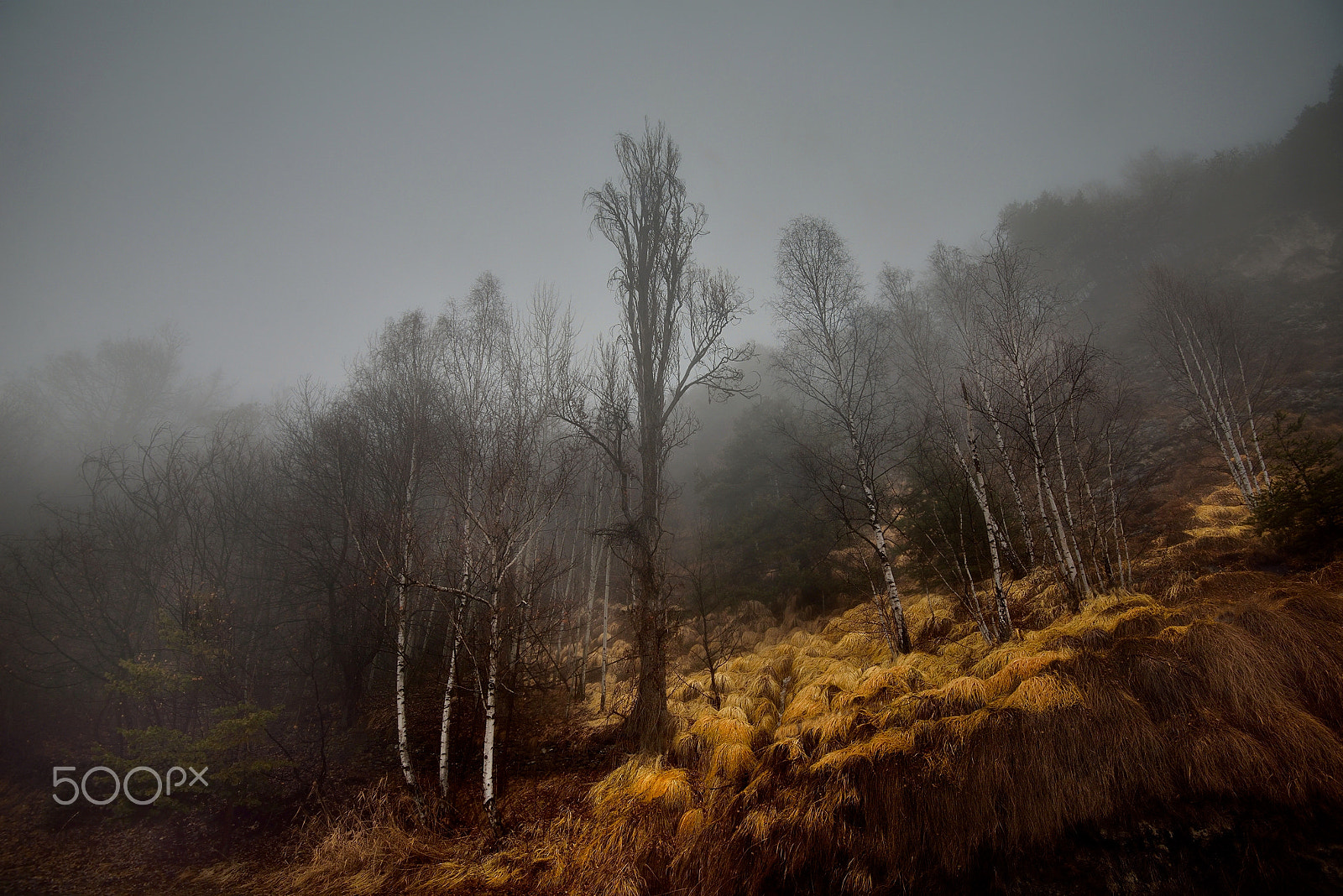 Nikon AF-S Nikkor 16-35mm F4G ED VR sample photo. The begin a fairy tale. photography