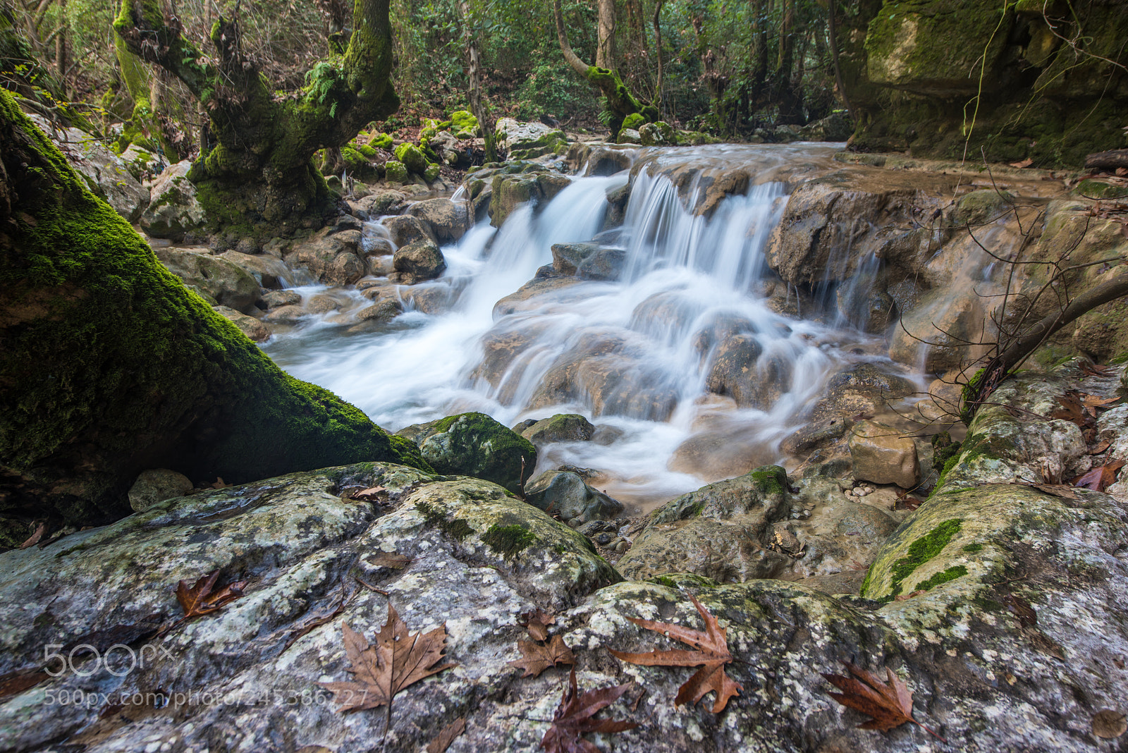 Nikon D810 sample photo. Flawless photography