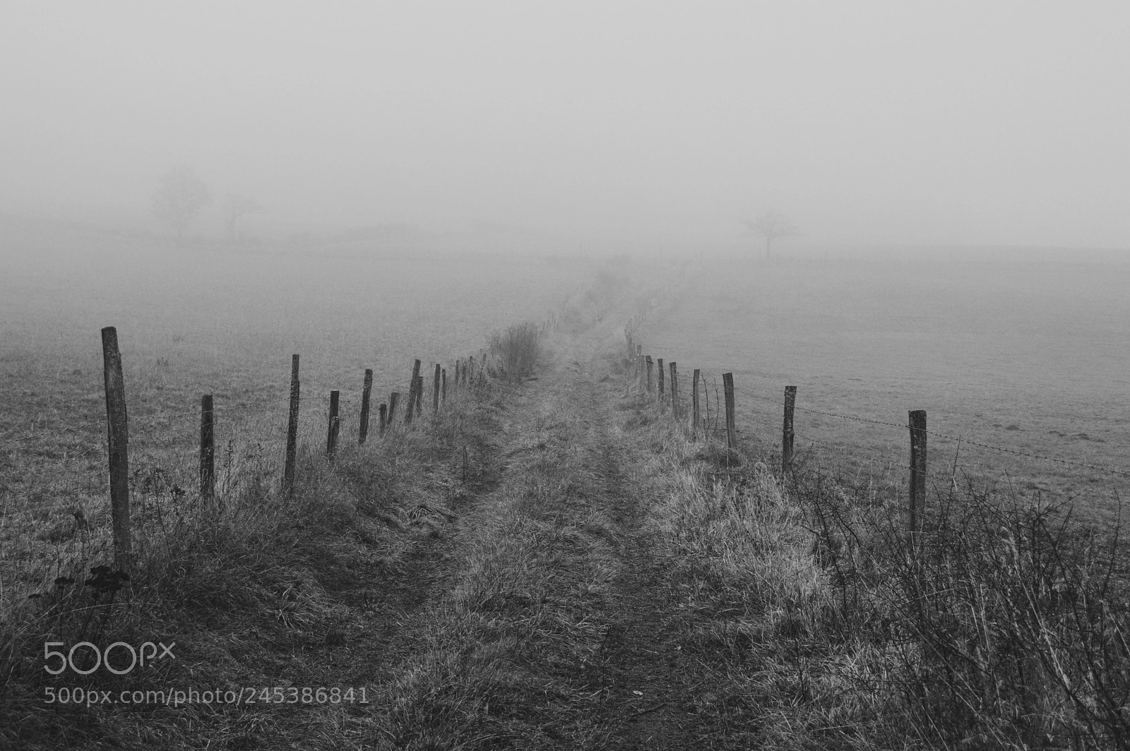 Nikon D3200 sample photo. Path to nowhere photography