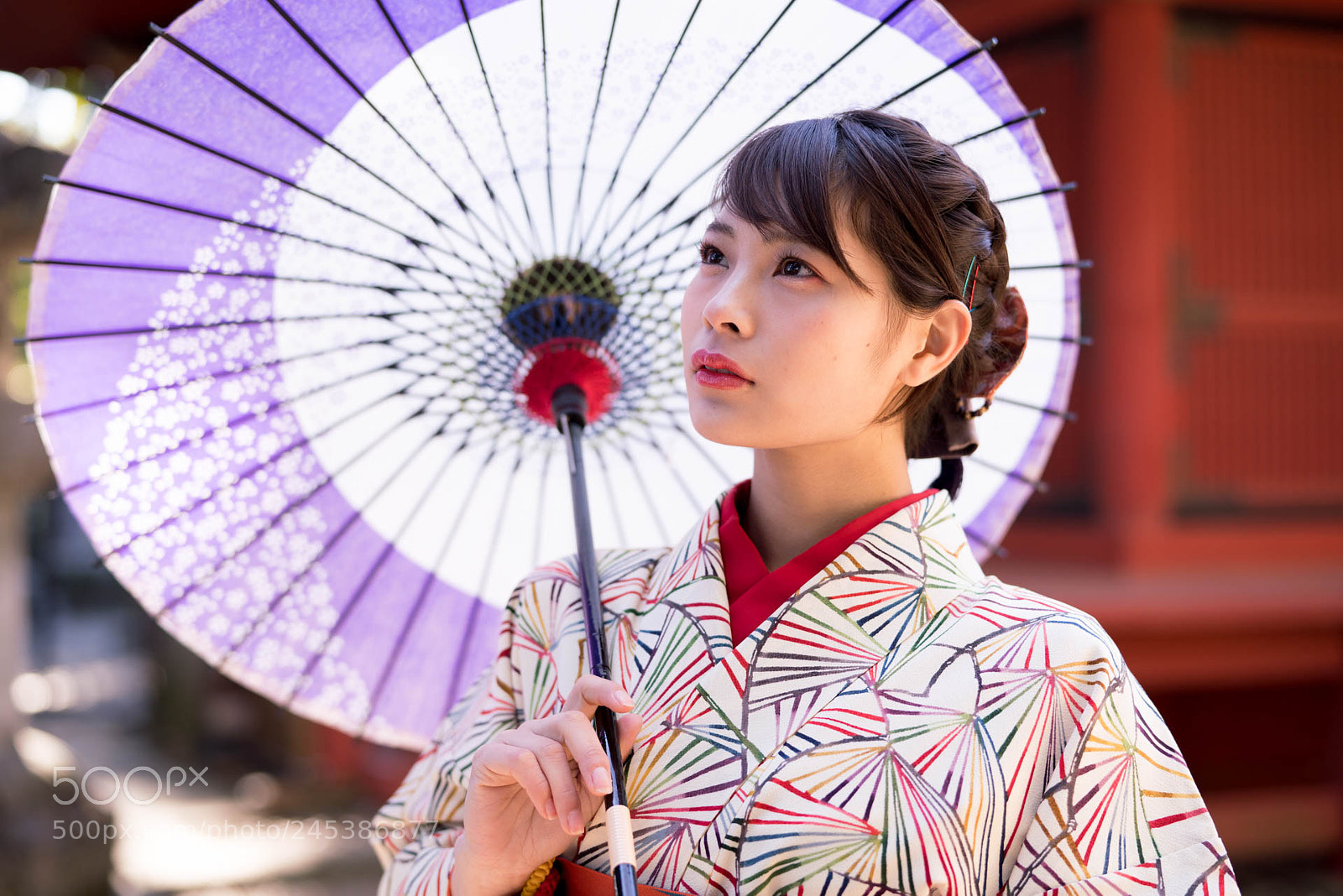 Sony a7R III sample photo. 20180208-1 photography
