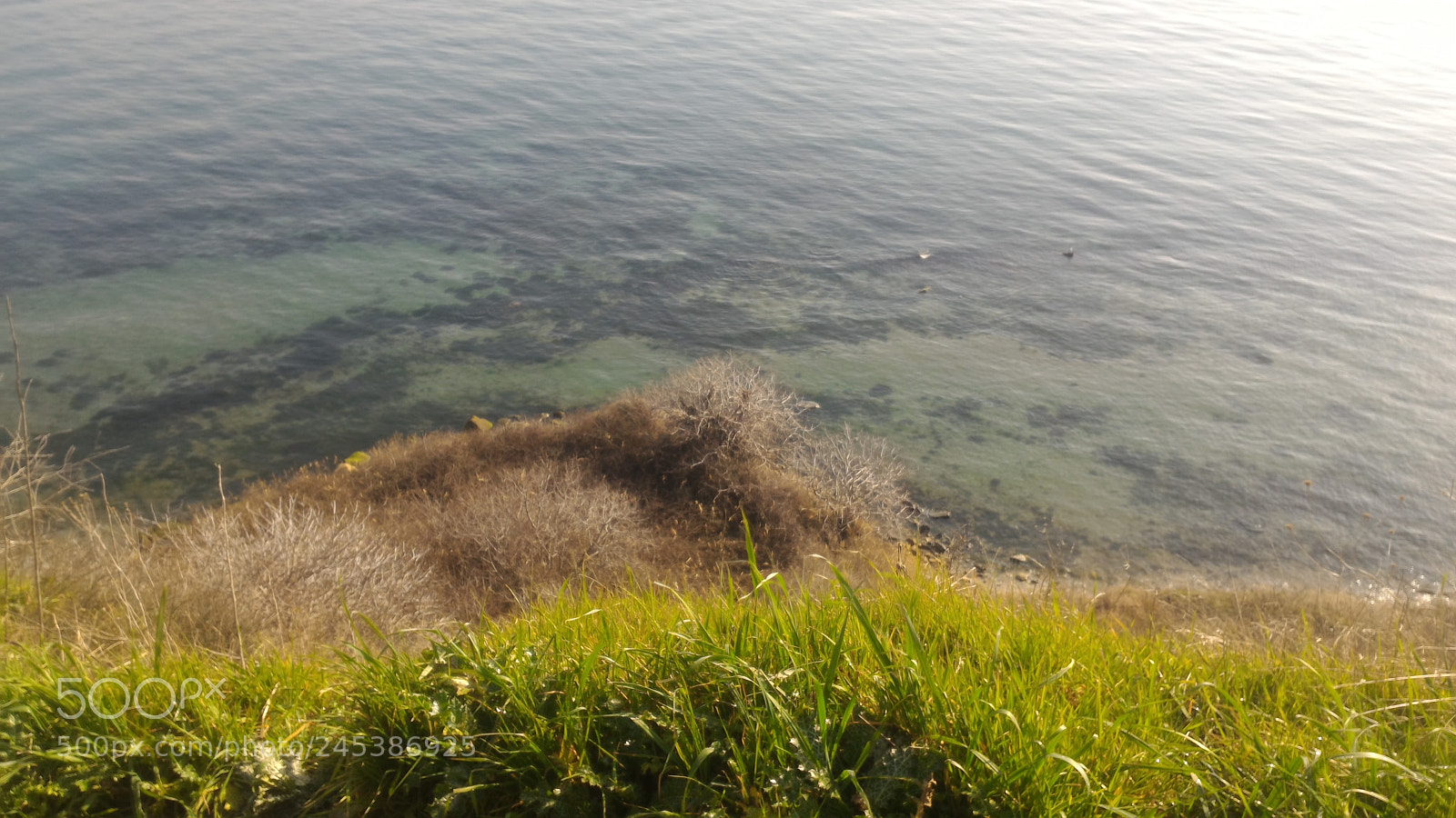 ASUS ZenFone 2 (ZE551ML) sample photo. Untitled photography