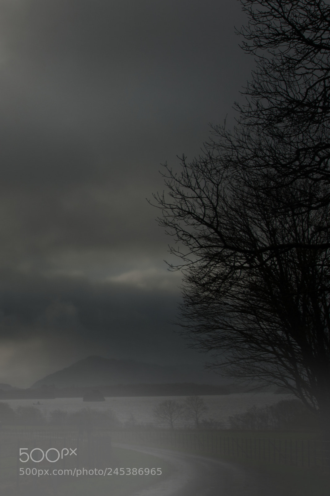 Nikon D200 sample photo. Kerry lake photography