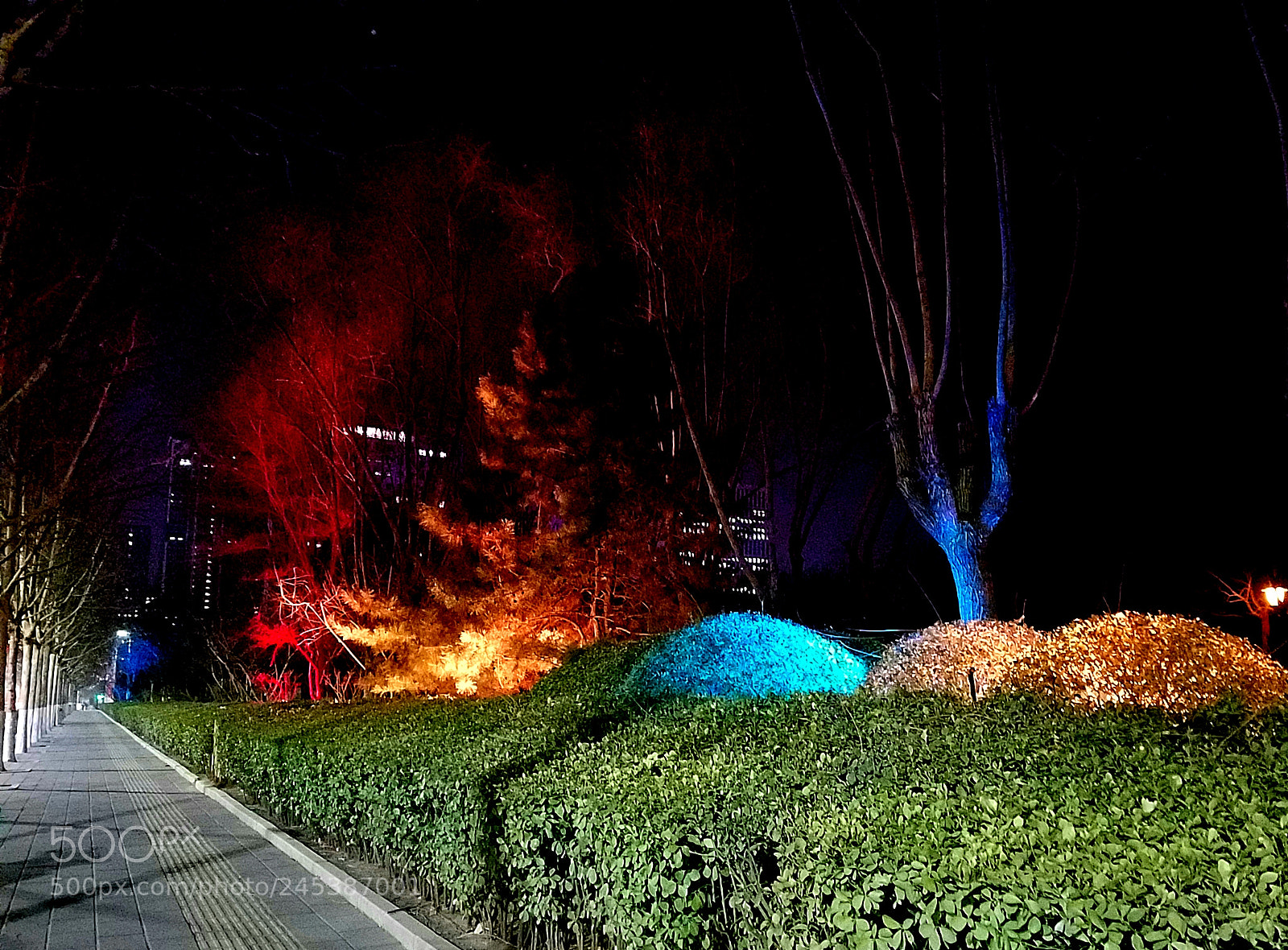 Samsung Galaxy S7 Edge sample photo. Light trees photography