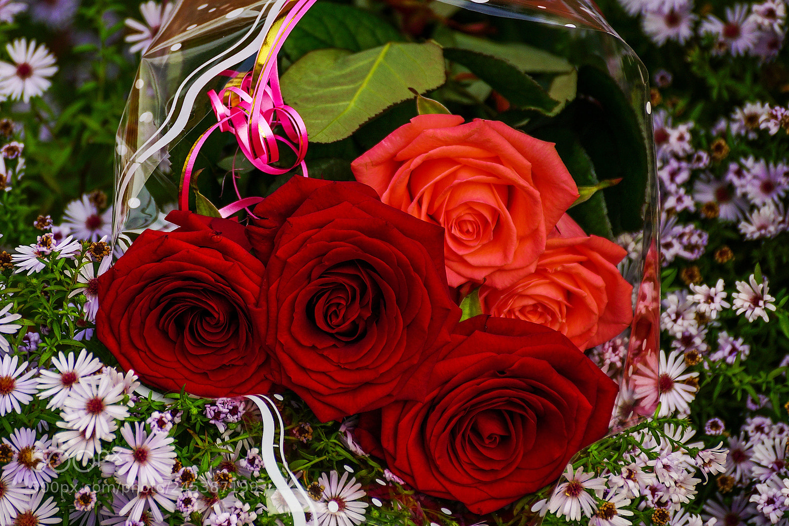 Sony ILCA-77M2 sample photo. A bouquet of roses photography
