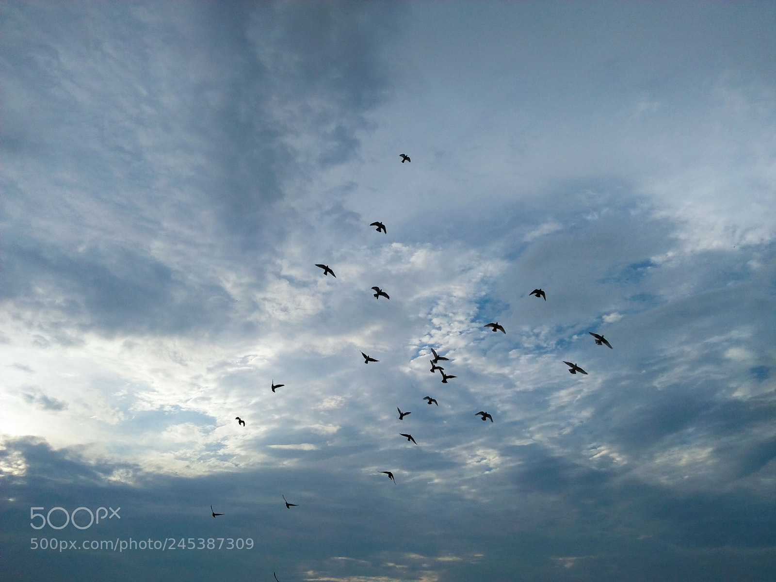 OPPO A37fw-International sample photo. Cloudy photography