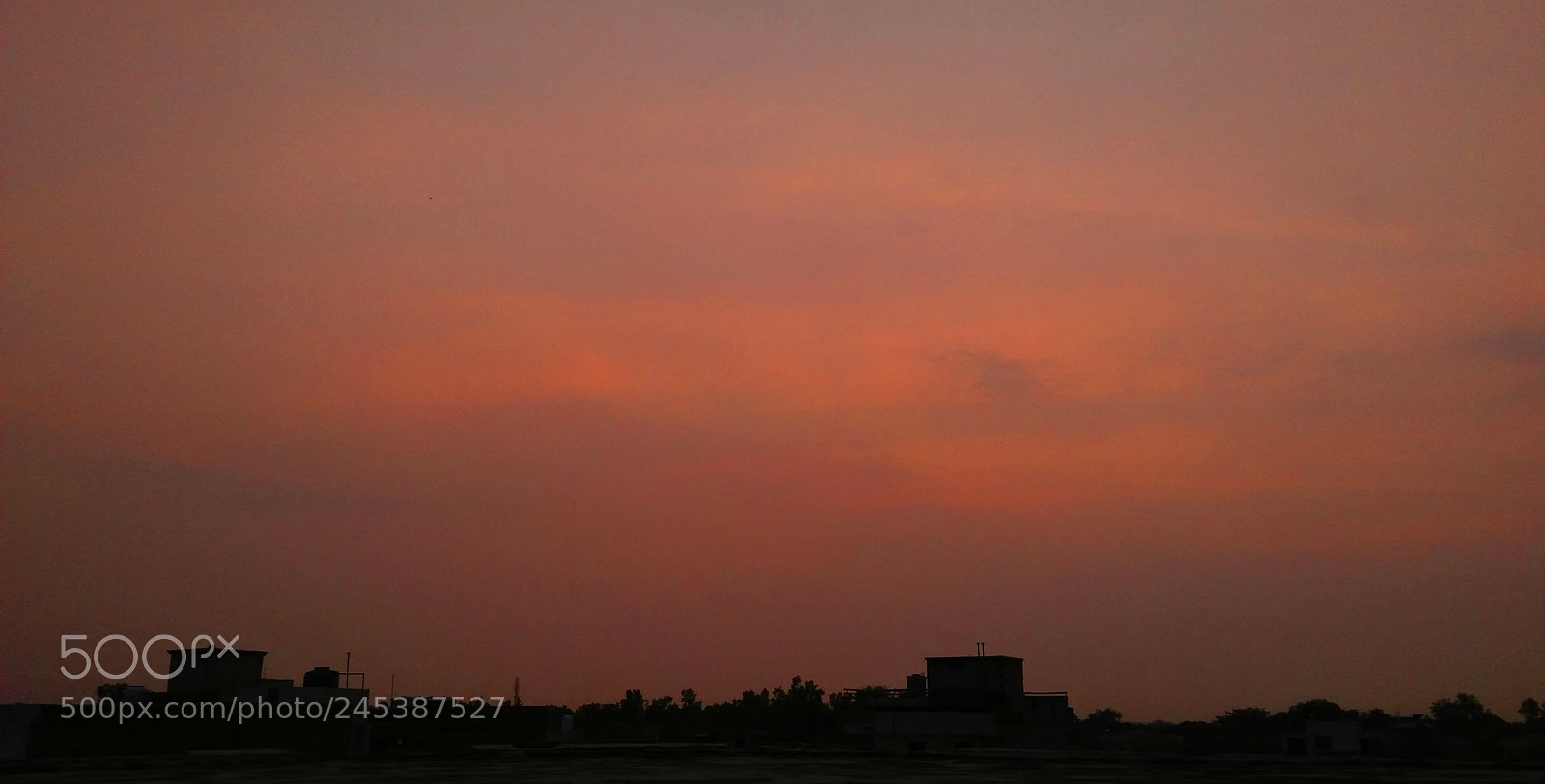 OPPO A37fw-International sample photo. Redsky photography