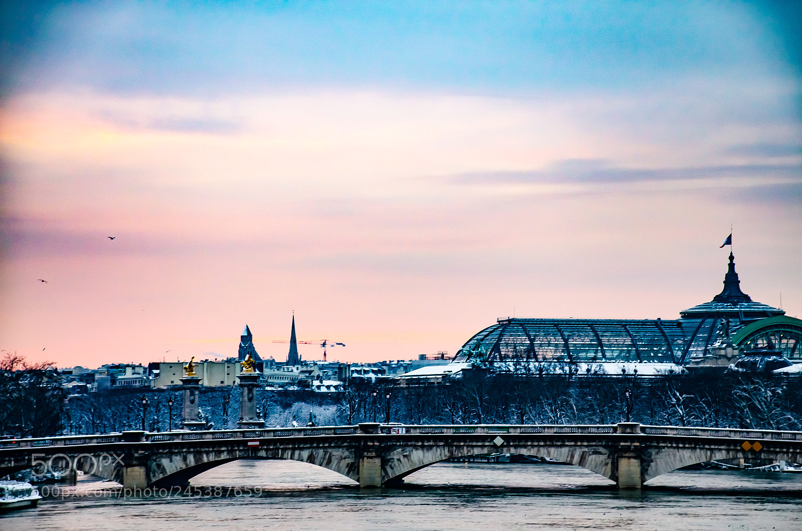 Nikon D5100 sample photo. Winter was here photography