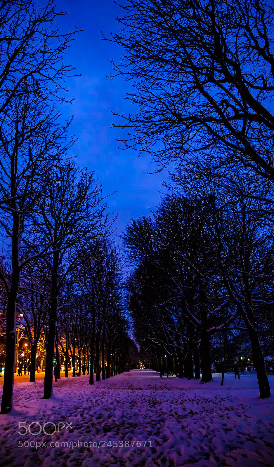 Nikon D5100 sample photo. Colors of winter photography