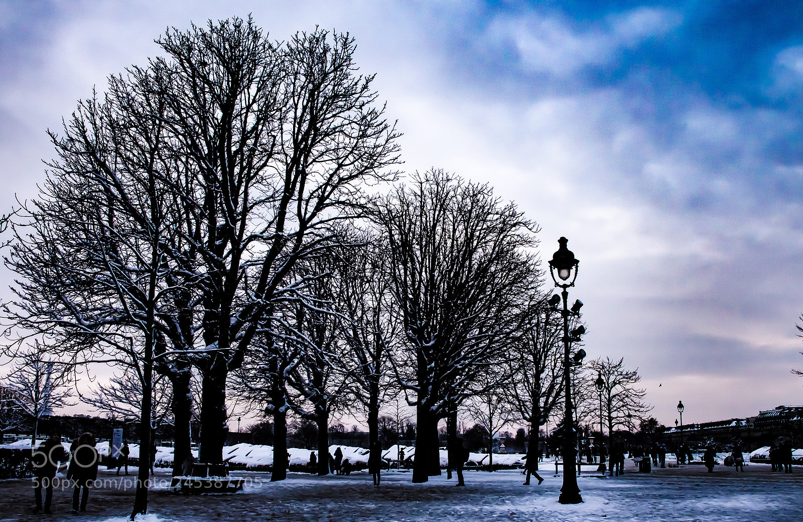 Nikon D5100 sample photo. Winter was here photography