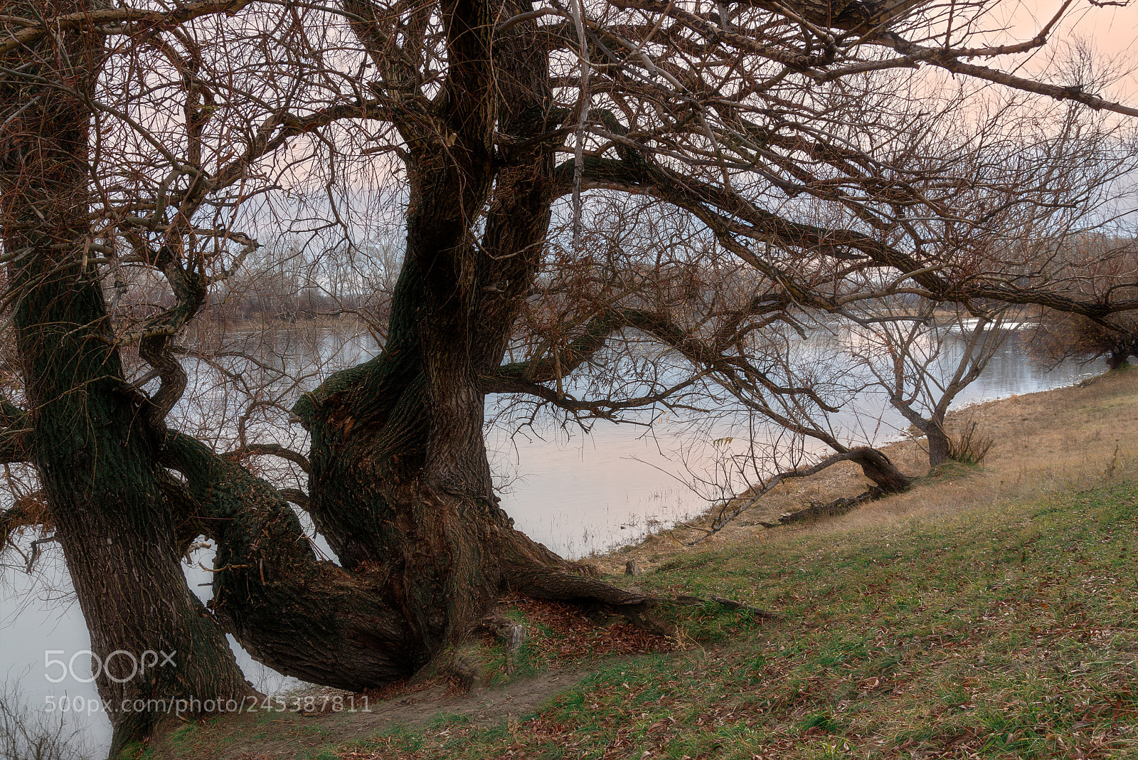 Nikon D610 sample photo. Autumn photography
