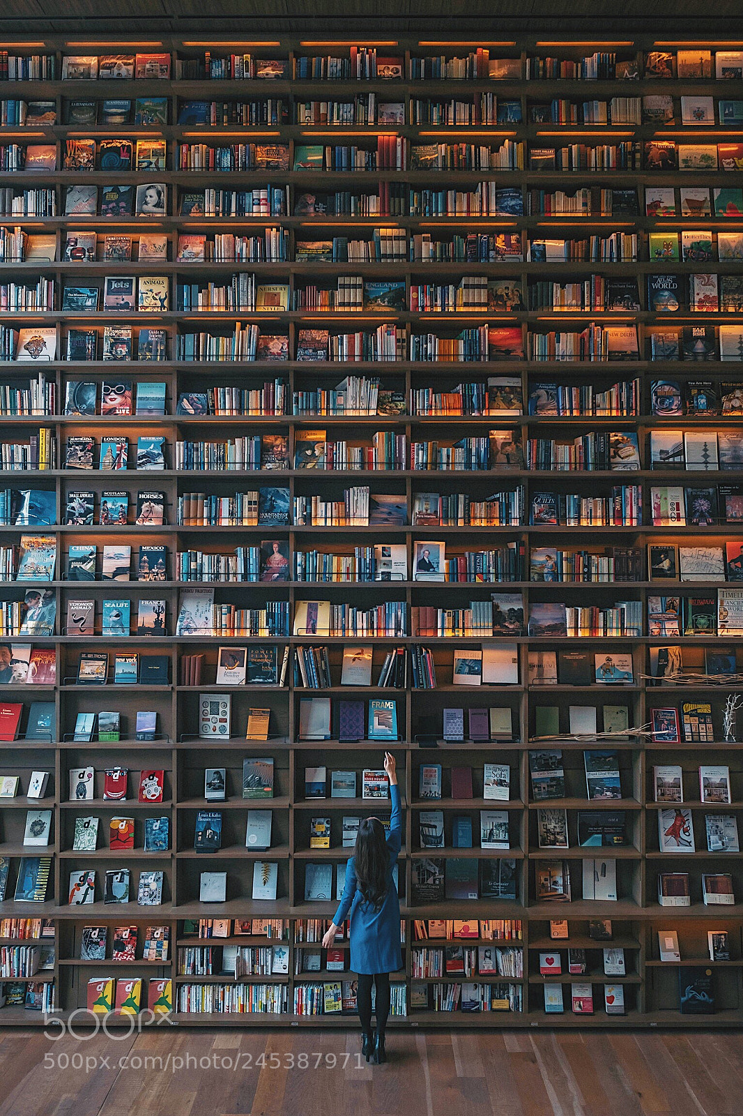 Fujifilm X-T2 sample photo. Bookshelf photography