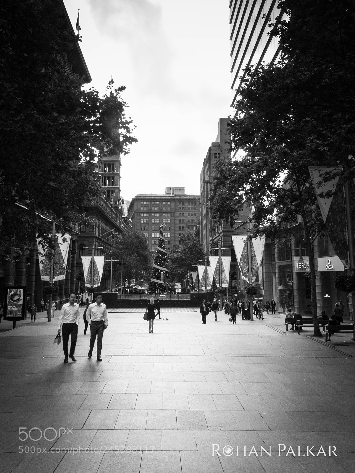 Canon EOS 550D (EOS Rebel T2i / EOS Kiss X4) sample photo. Cbd, sydney photography