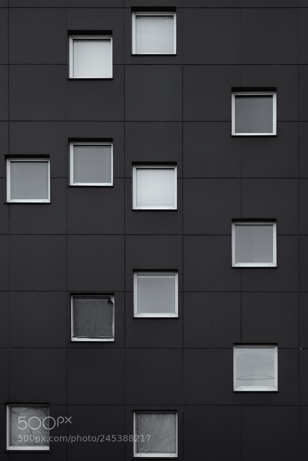 Nikon D600 sample photo. Window photography
