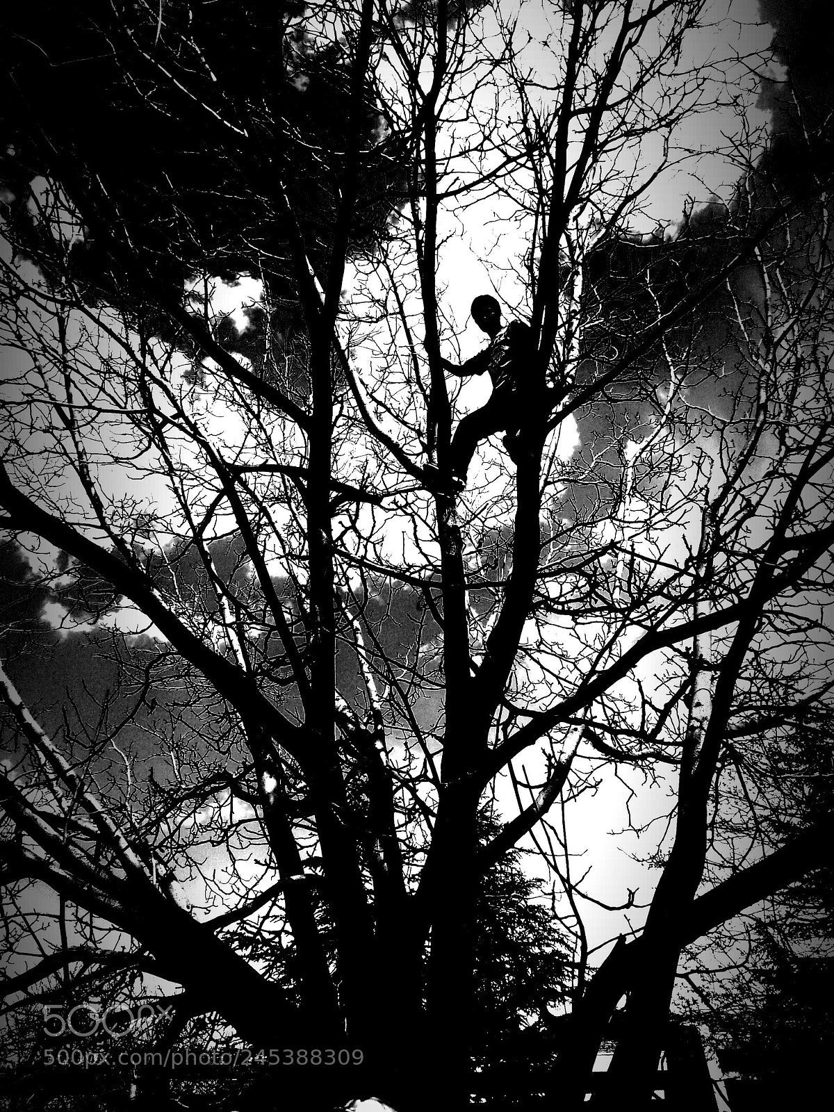 Samsung Galaxy S3 sample photo. Black-white photography