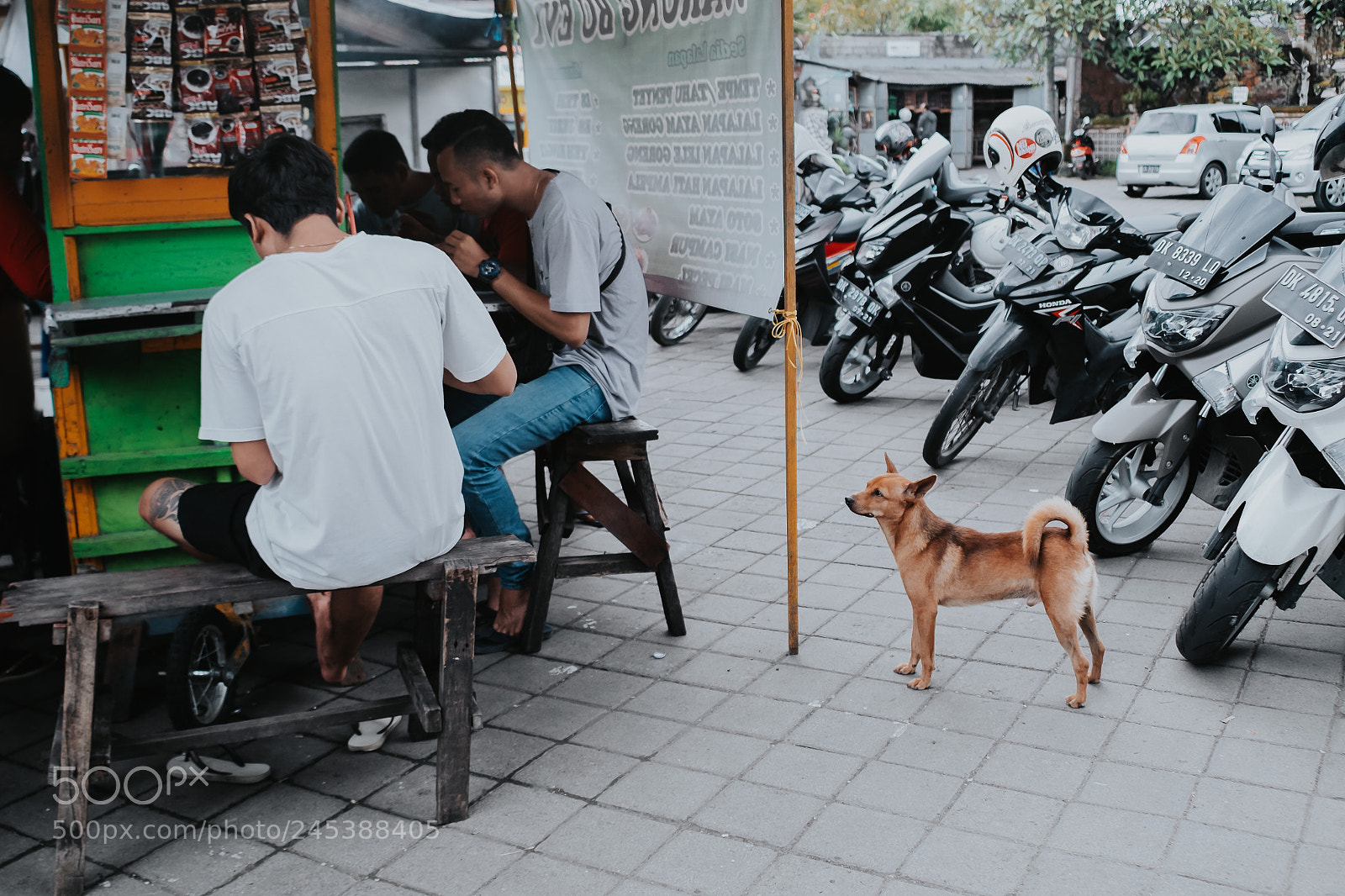 Fujifilm X-T1 sample photo. Untitled photography