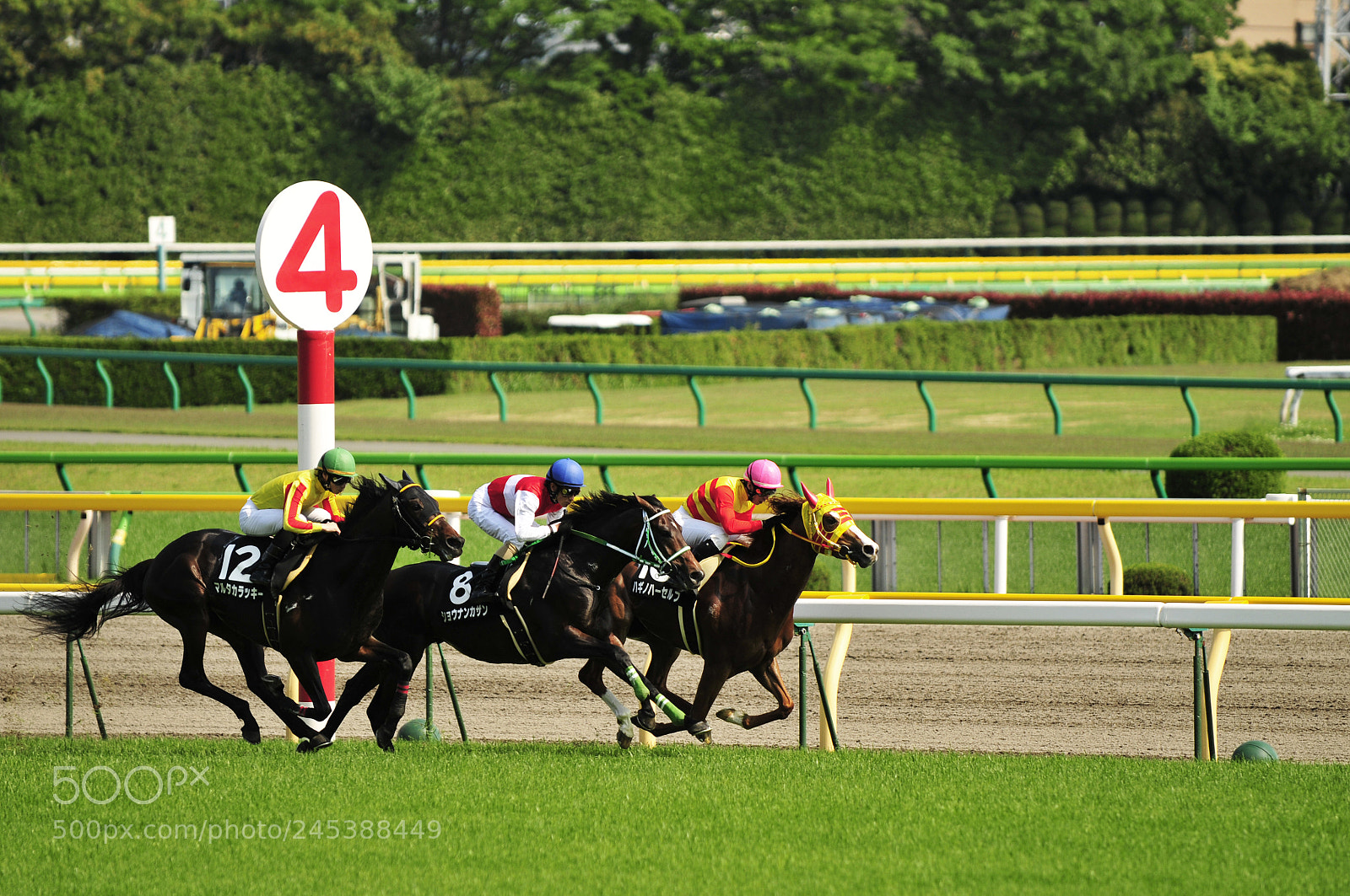 Nikon D300 sample photo. Horse rasing... photography