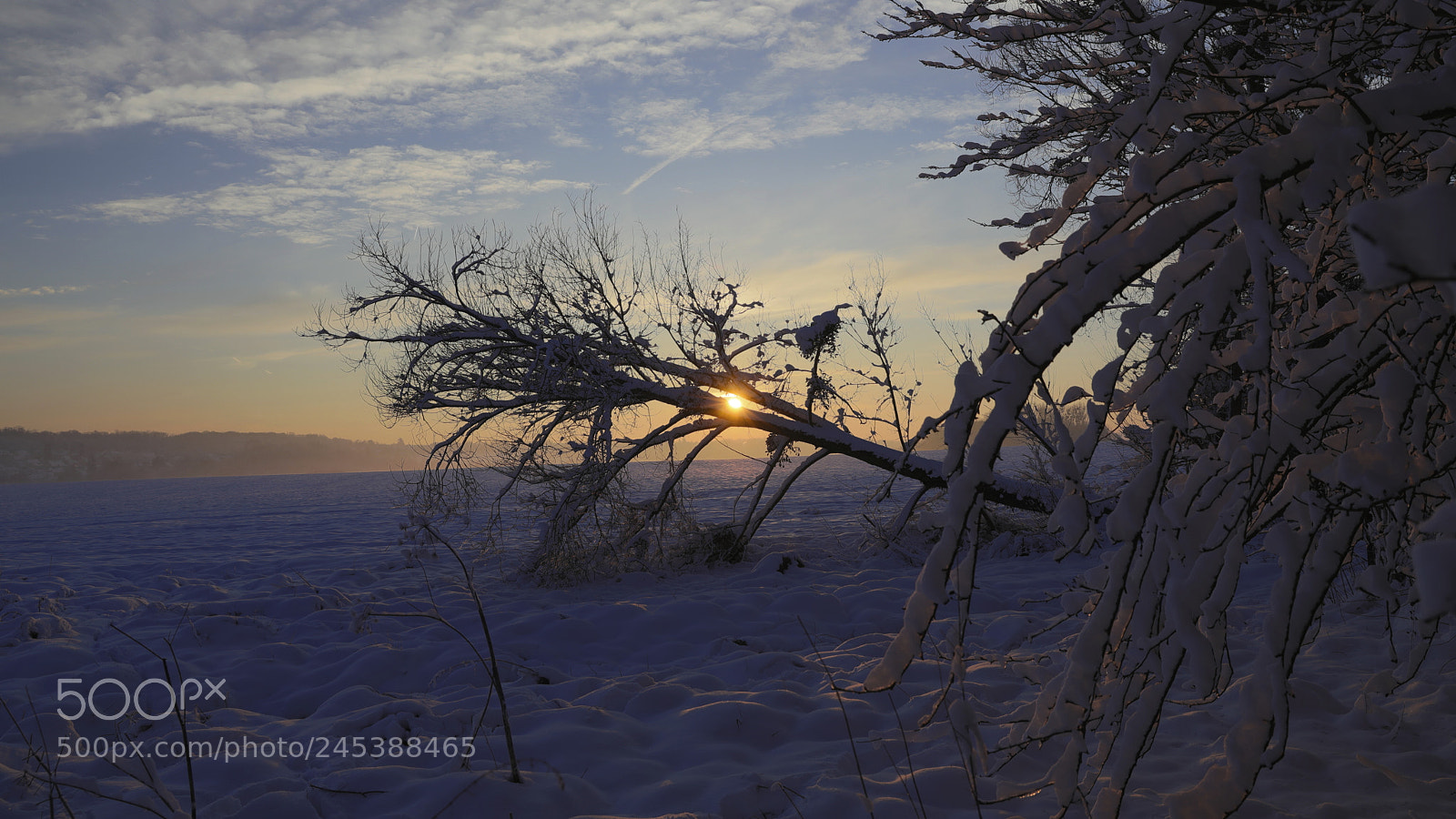 Canon EF 24-70mm F2.8L II USM sample photo. Lev de soleil de photography