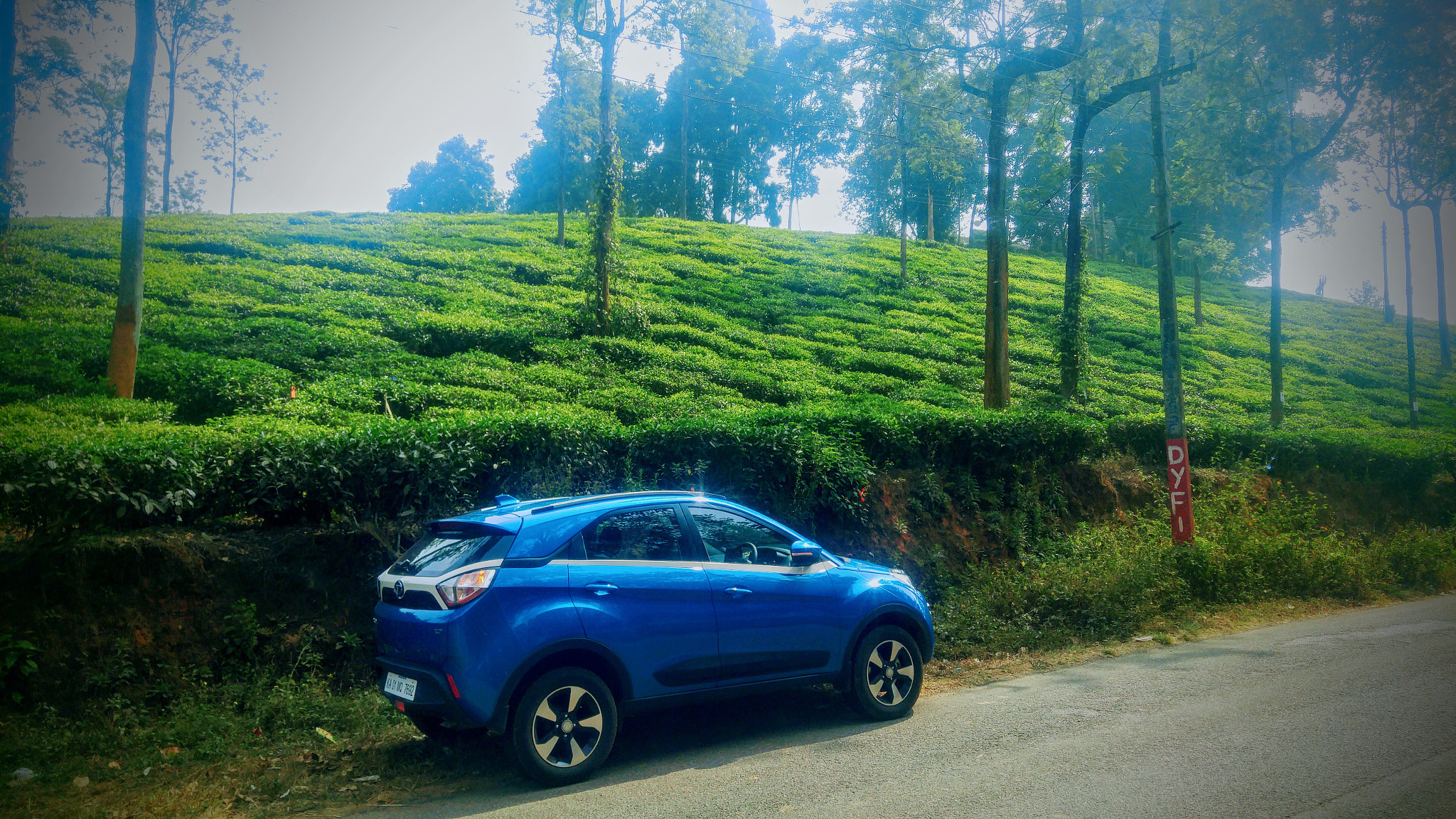 LG H818N sample photo. Car and tea plantation photography