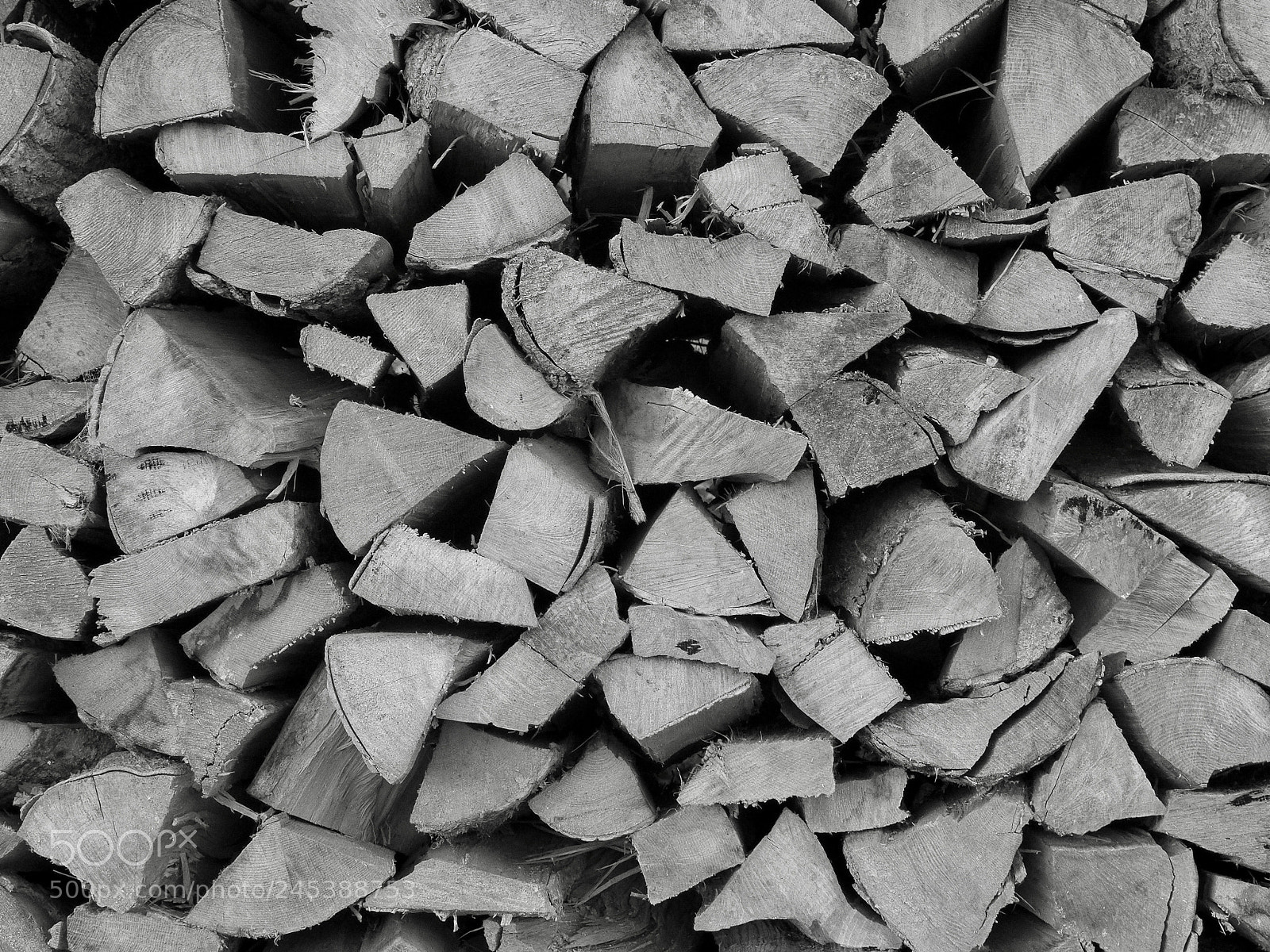 Olympus OM-D E-M10 II sample photo. Wood photography
