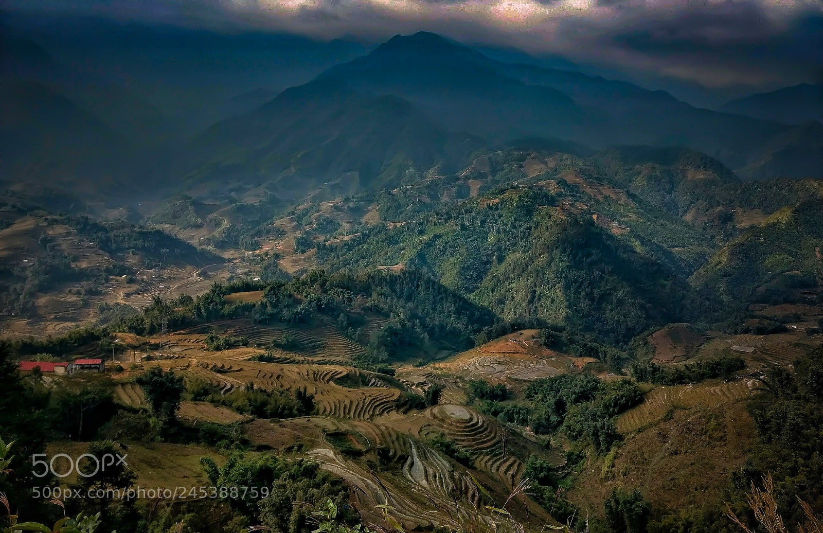 Motorola Moto G (4) sample photo. Sapa vn photography