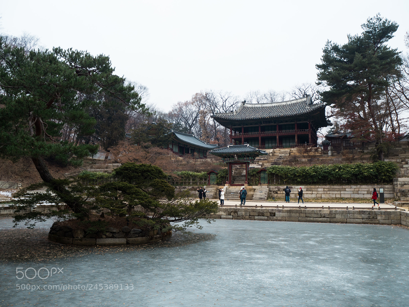 Olympus OM-D E-M10 III sample photo. Royal garden photography