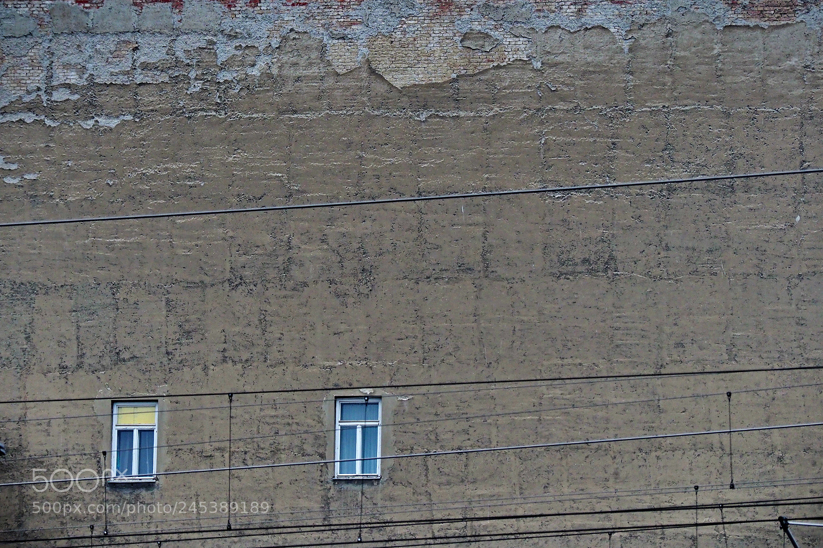 Olympus OM-D E-M1 Mark II sample photo. Together - lost photography