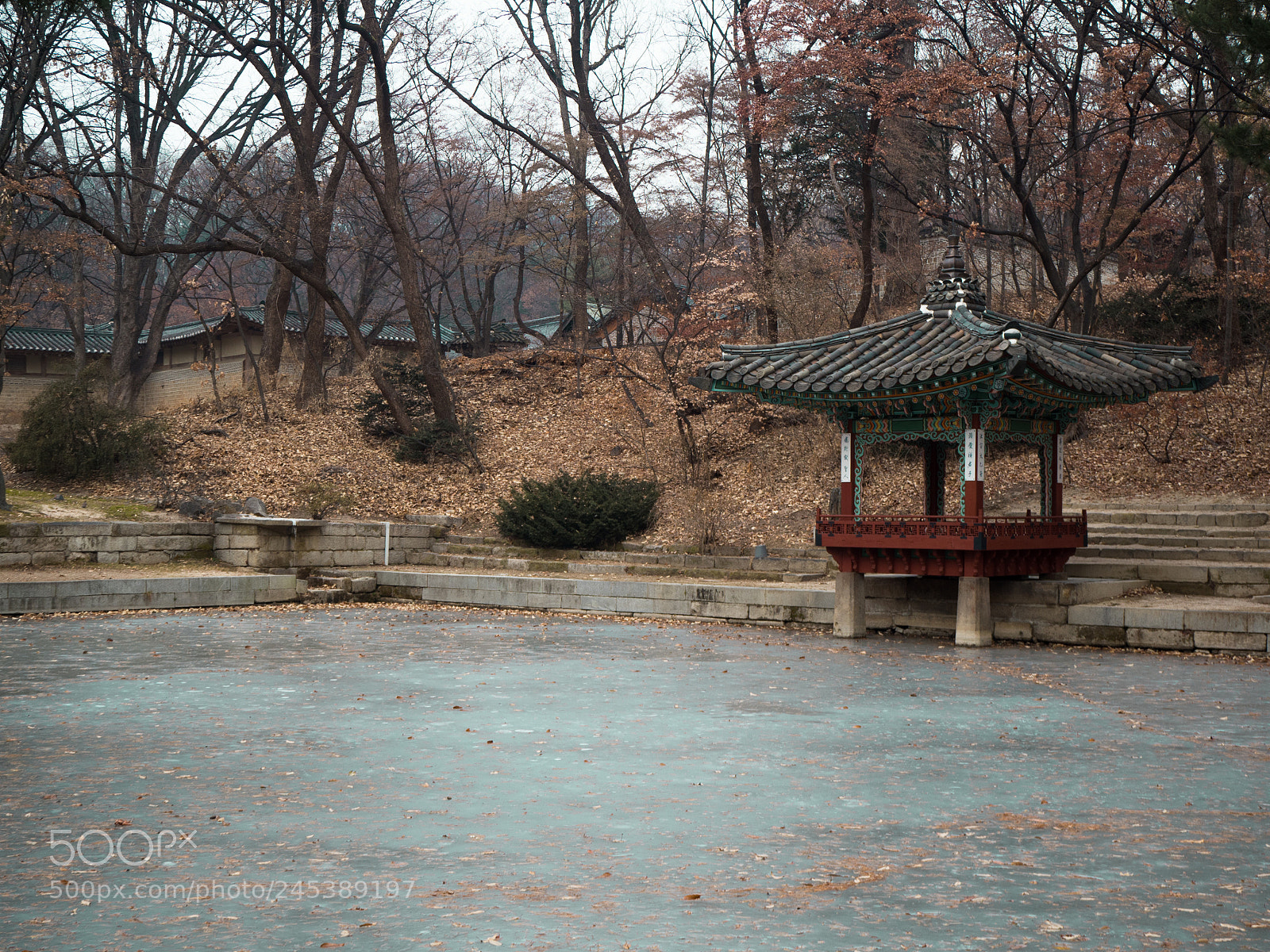 Olympus OM-D E-M10 III sample photo. Royal garden photography