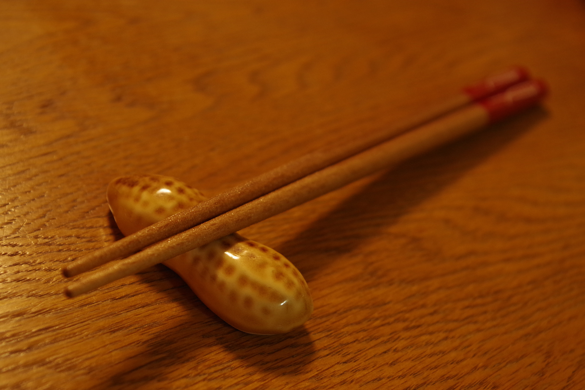 Pentax K-S2 sample photo. It's time to eat. photography
