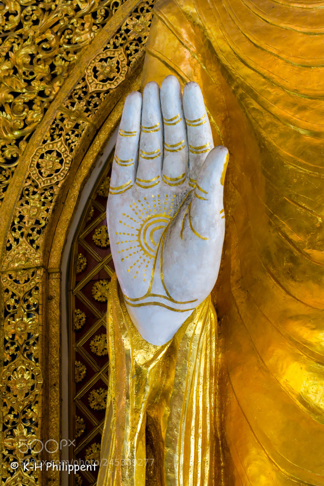 Canon PowerShot G3 X sample photo. In the temple of photography