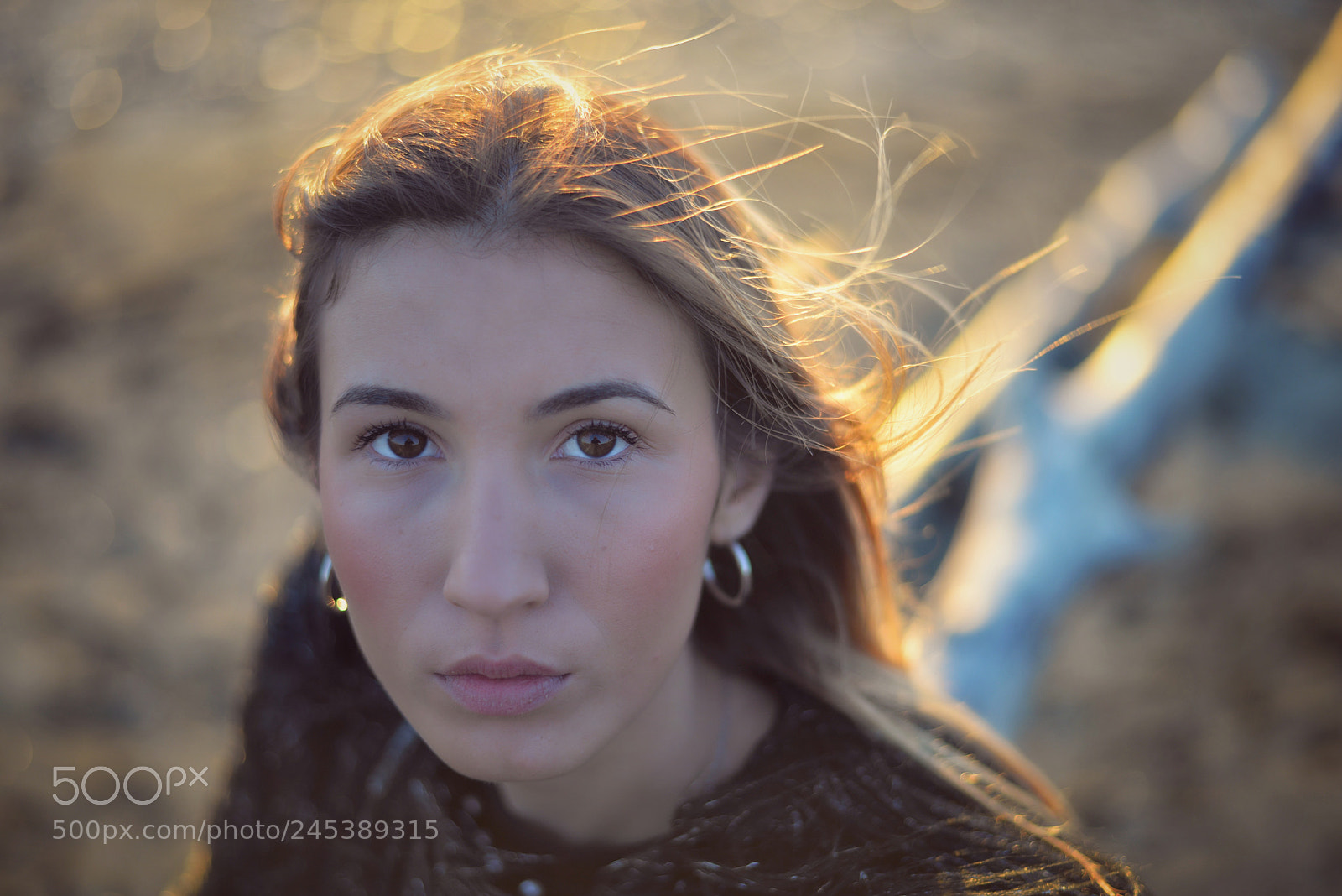 Nikon D610 sample photo. Sharon photography