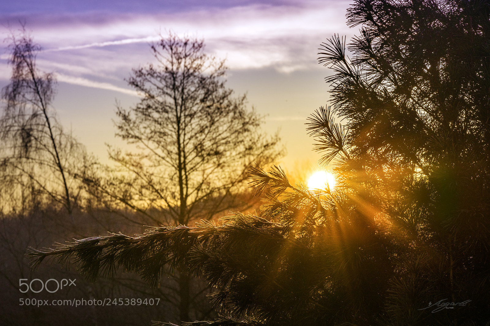 Canon EOS 6D Mark II sample photo. Sun`s stripes photography