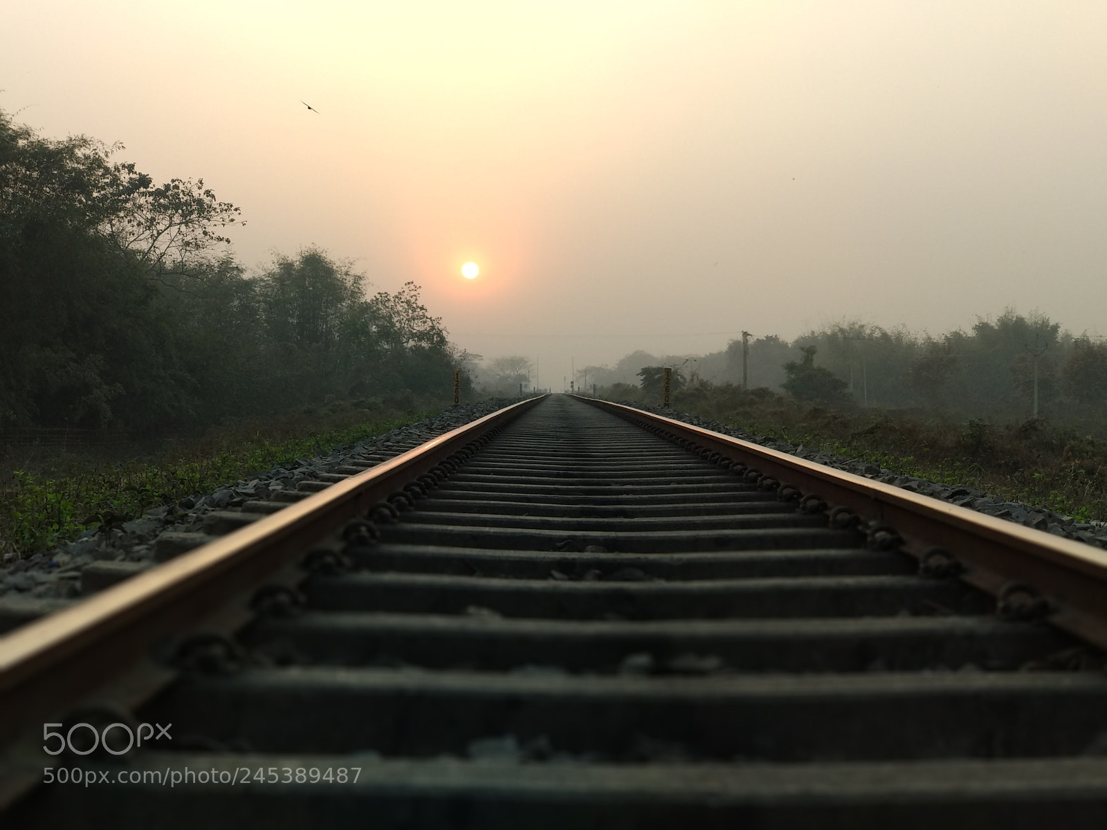 Xiaomi Mi A1 sample photo. Sun sate with railway photography