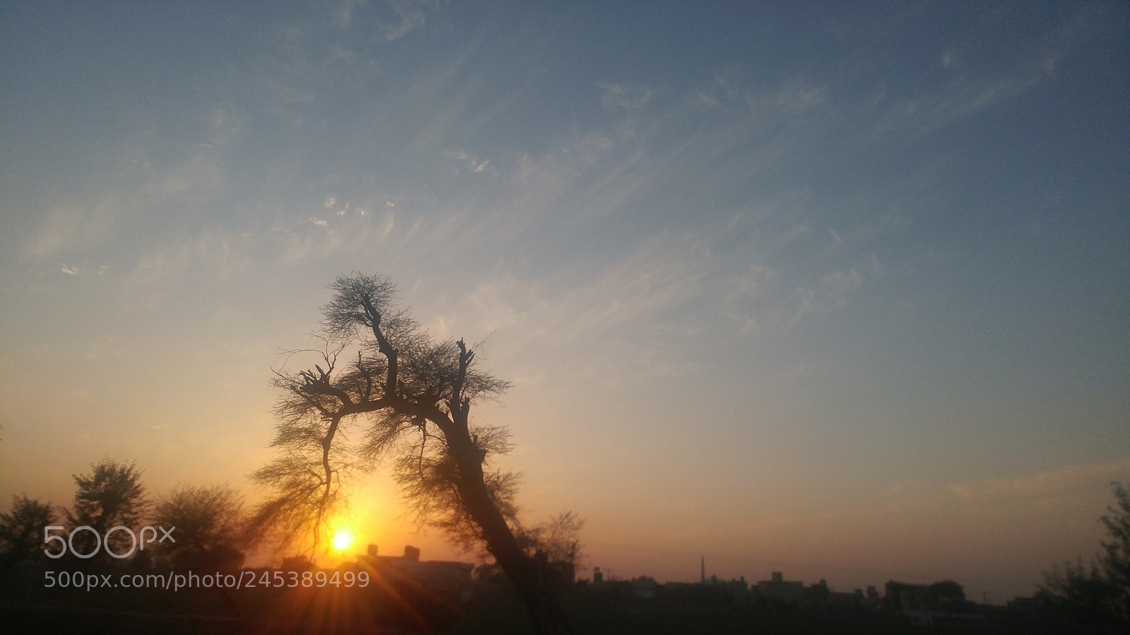 LG G5 sample photo. Untitled photography