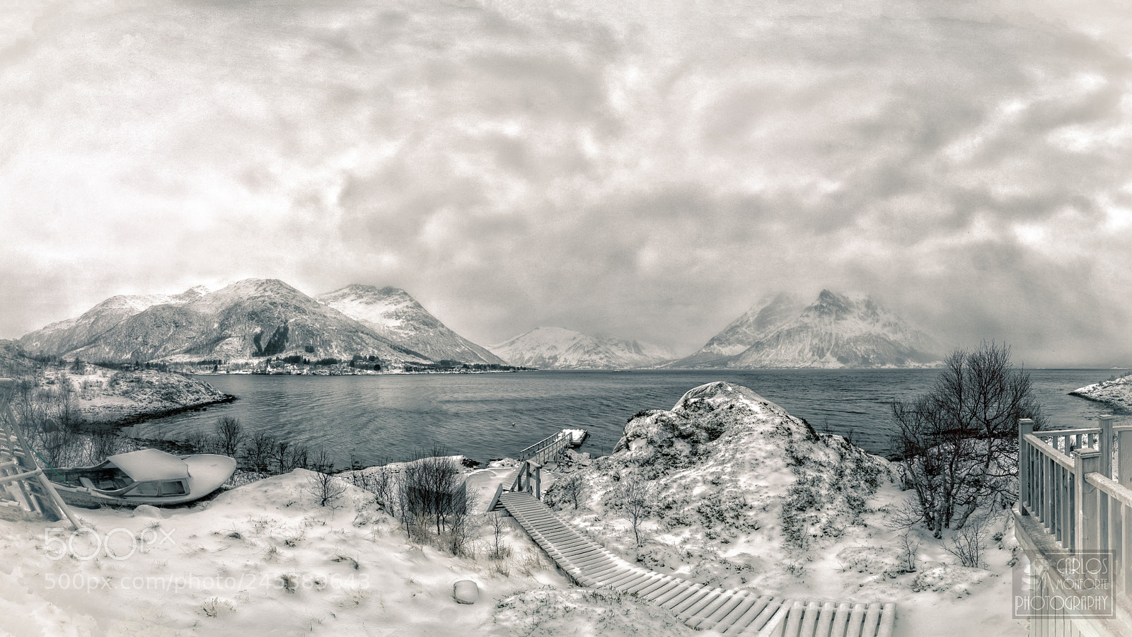 Canon EOS-1D X Mark II sample photo. White winter photography