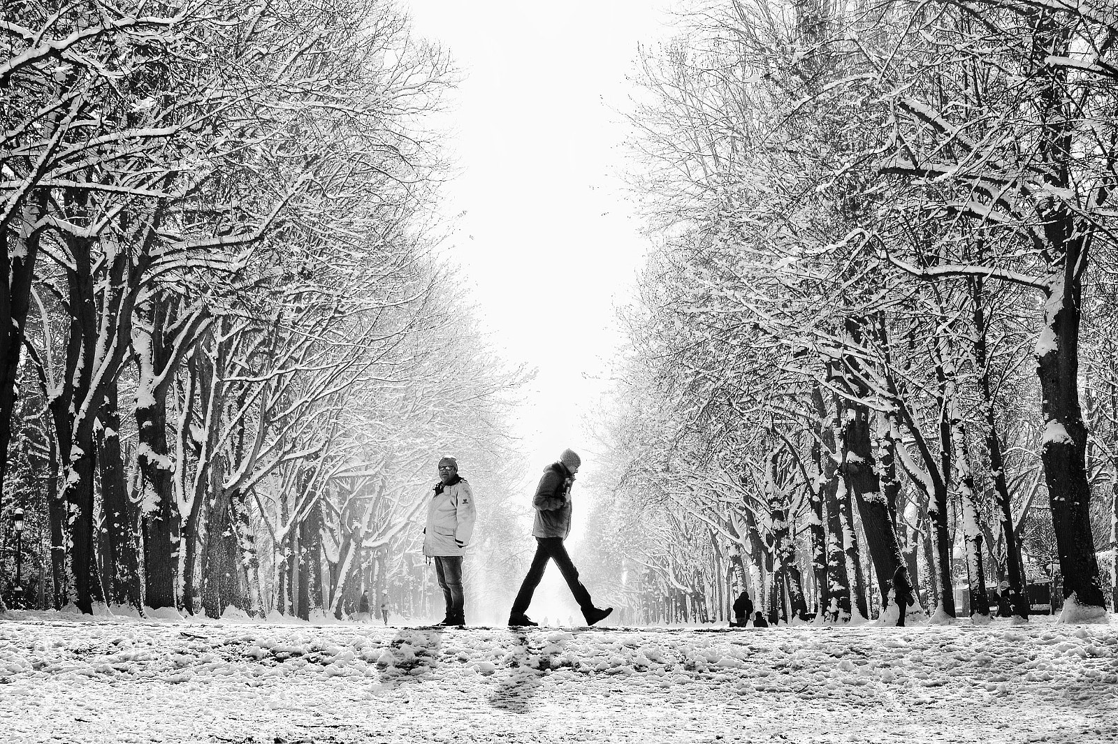 Nikon Df sample photo. Paseando ... photography