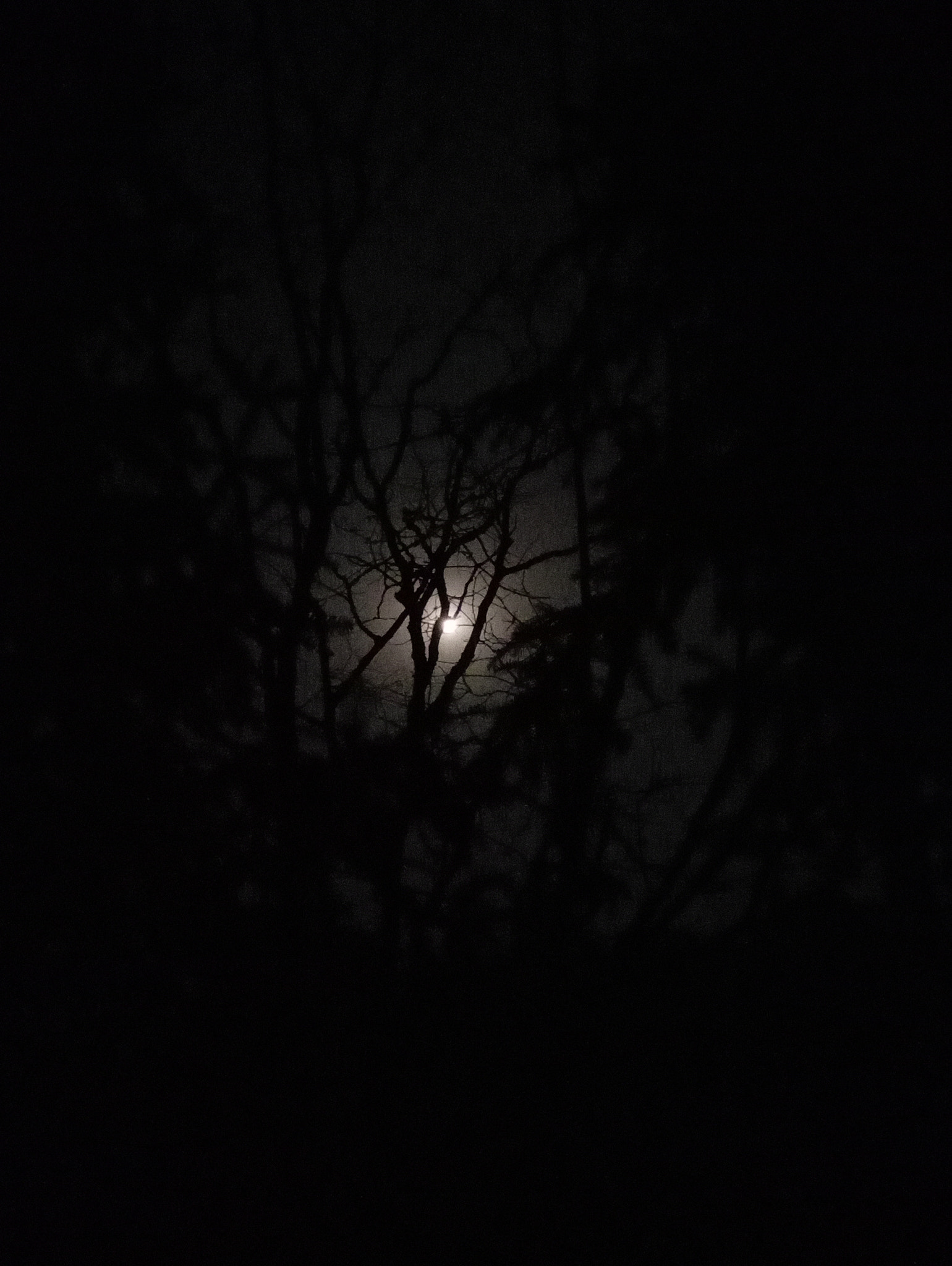 Meizu MX6 sample photo