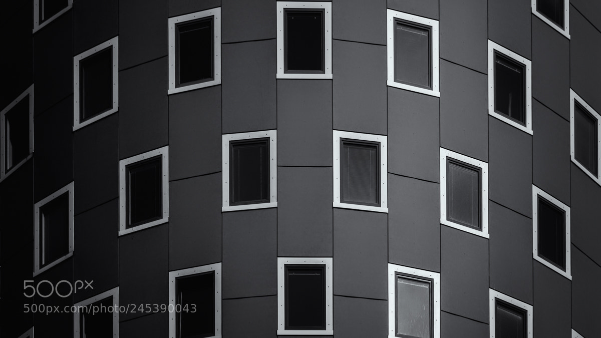 Nikon D610 sample photo. Window 1 photography