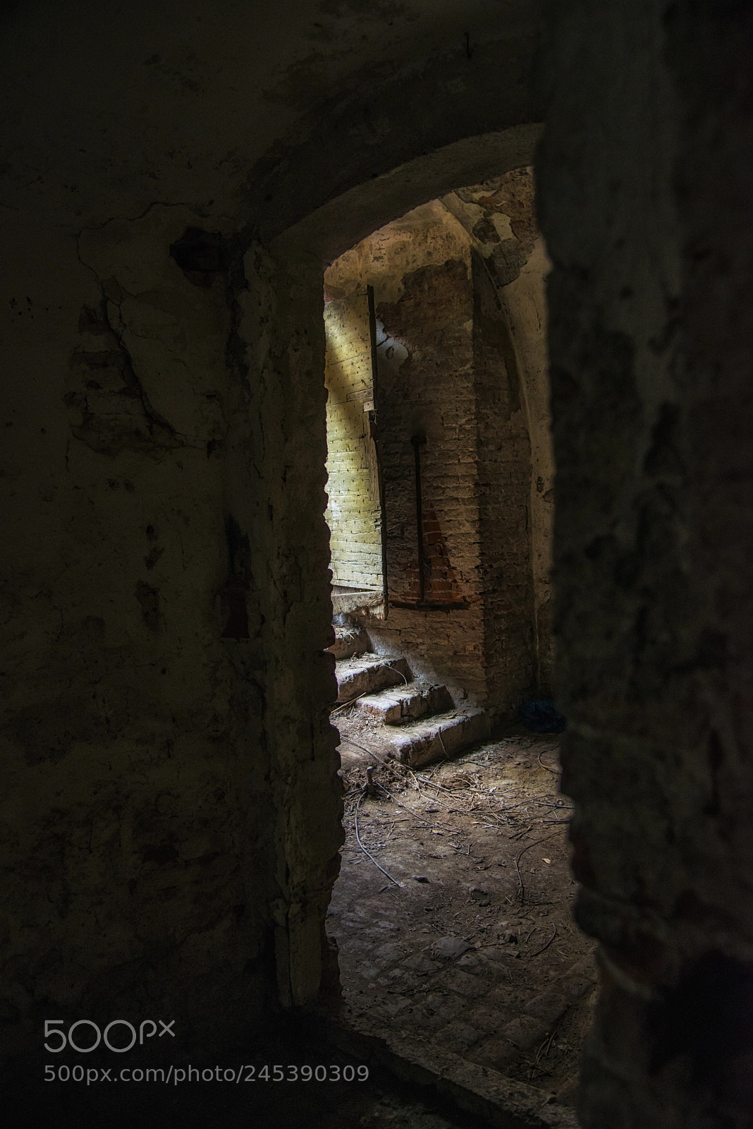 Nikon D800 sample photo. Cittadella of alessandria photography