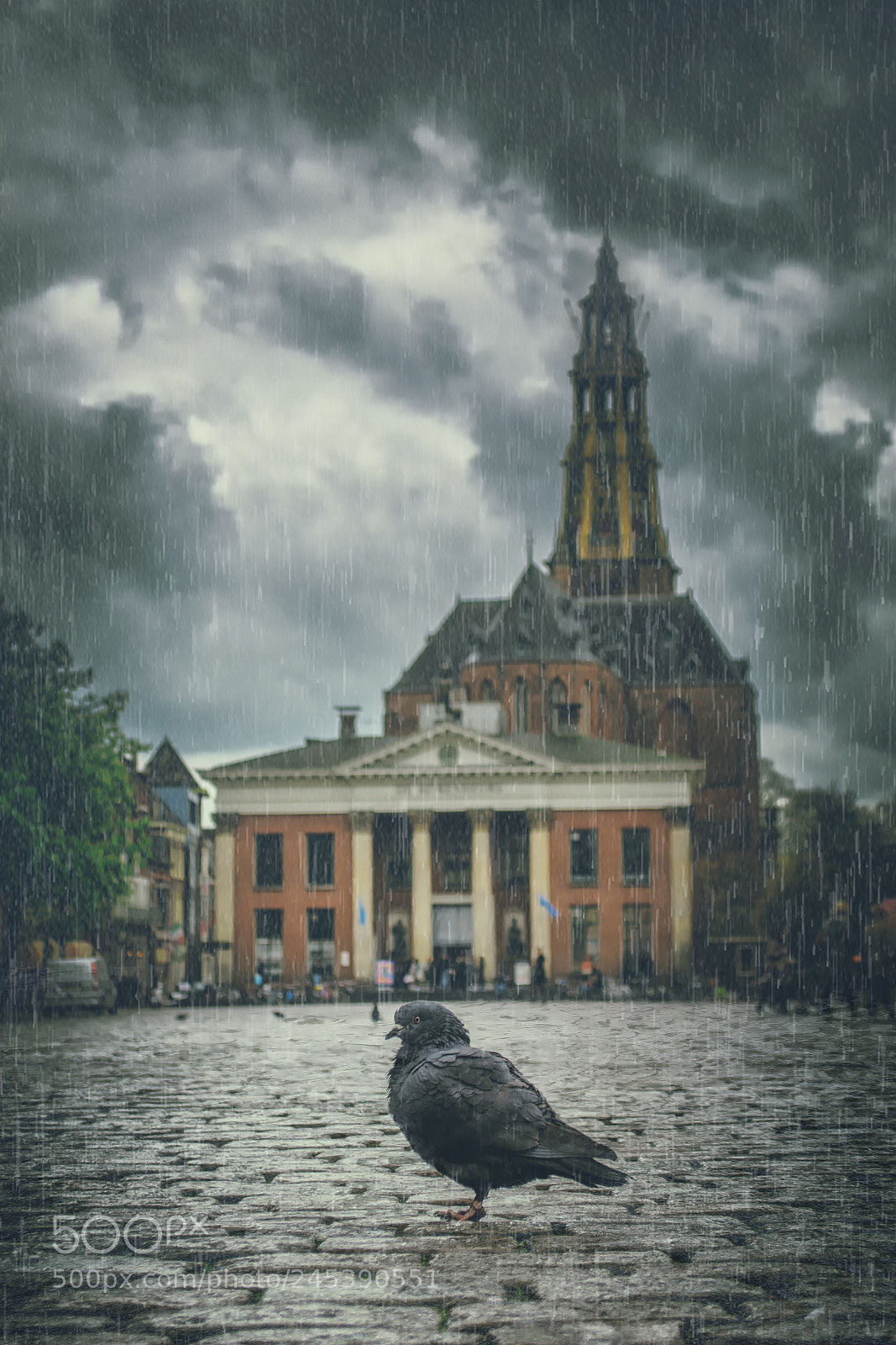 Nikon D5100 sample photo. Yes it's raining, but photography