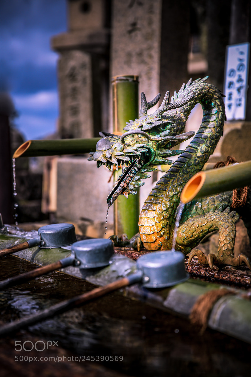 Canon EOS 5DS R sample photo. Chozuya photography
