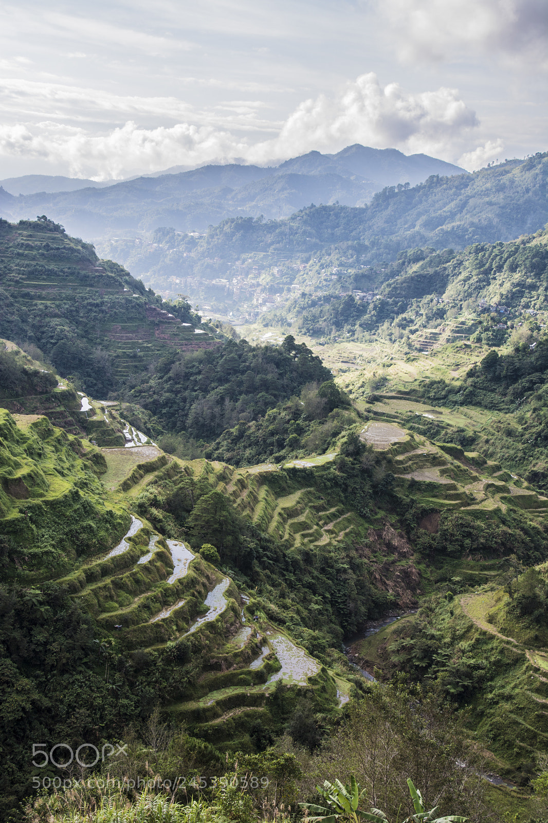 Nikon D7100 sample photo. Terrazas de arroz, banaue photography