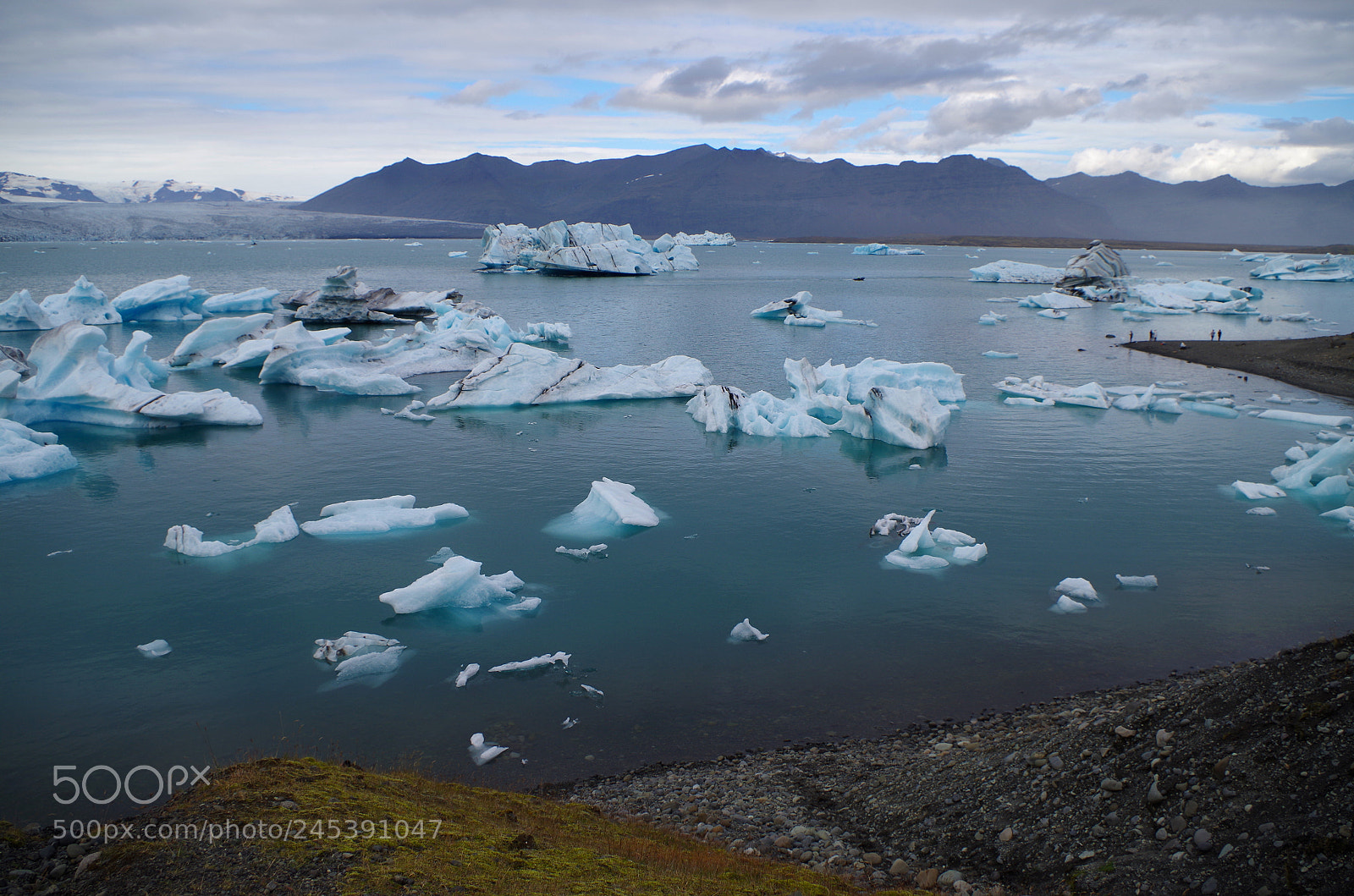 Pentax K-500 sample photo. Arctic beauty photography